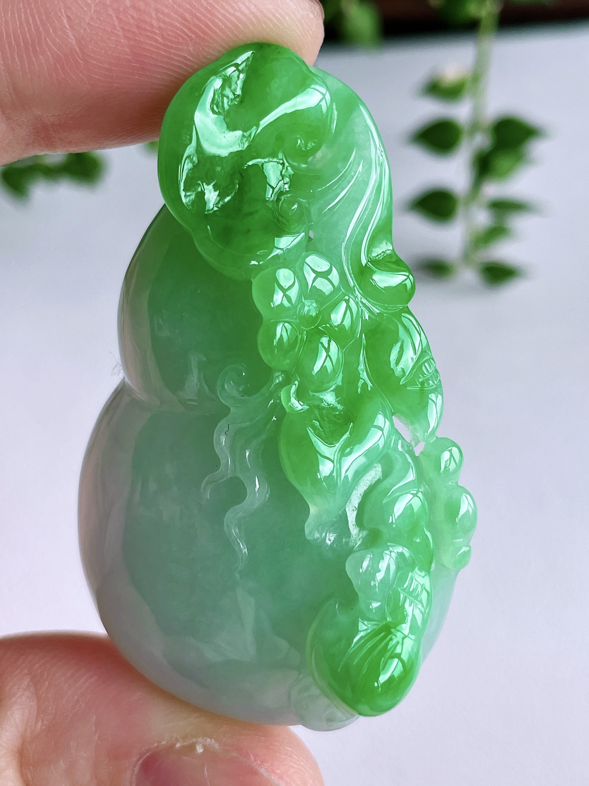 【裸石】冰飘阳绿葫芦吊坠
【说明】缅料 性价比高  
【尺寸】52-32.6-11.4