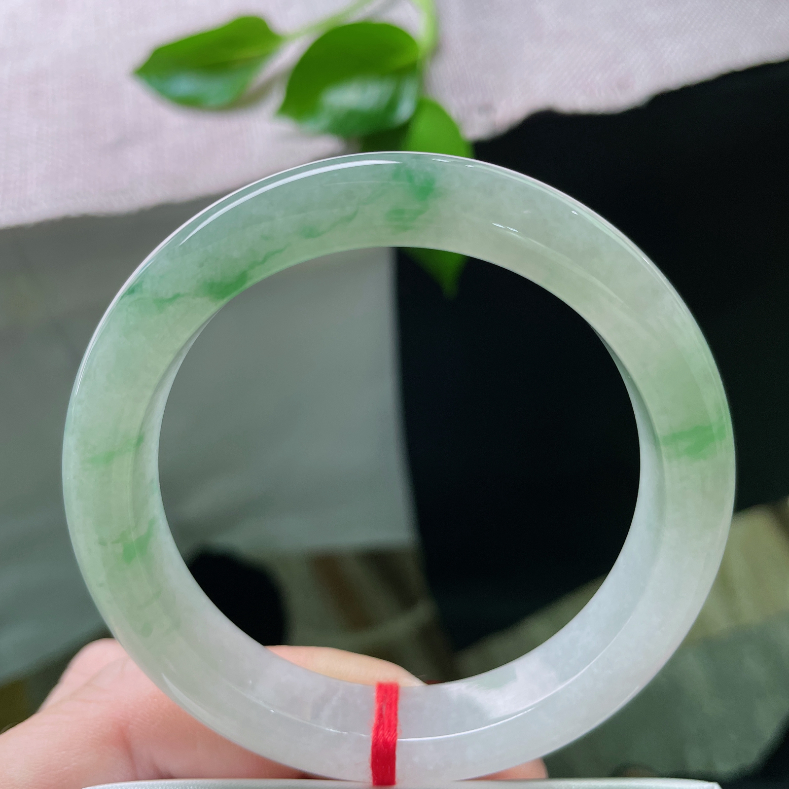 55.7/11.8/8.7，飘绿正圈，是一眼万年的惊艳，也是细水长流的耐看..