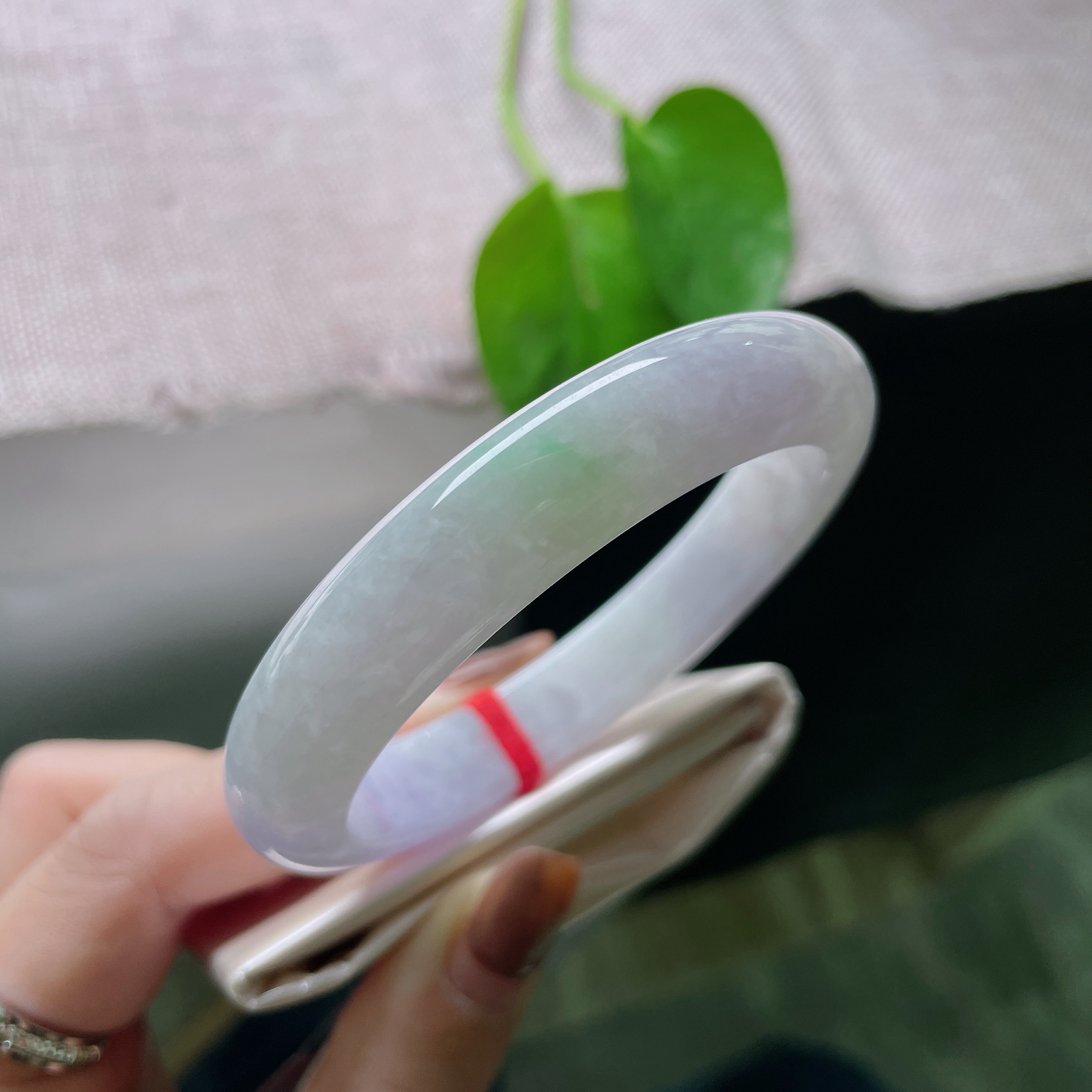 56.2/11.6/8.7春彩正圈，水润细腻，色彩斑斓，优雅大方..