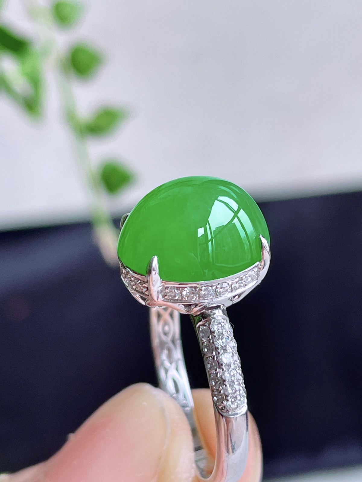 【镶嵌】冰阳绿蛋面戒指
【说明】缅料 18k金镶嵌 性价比高  
【整体】11.6-10-9.8
