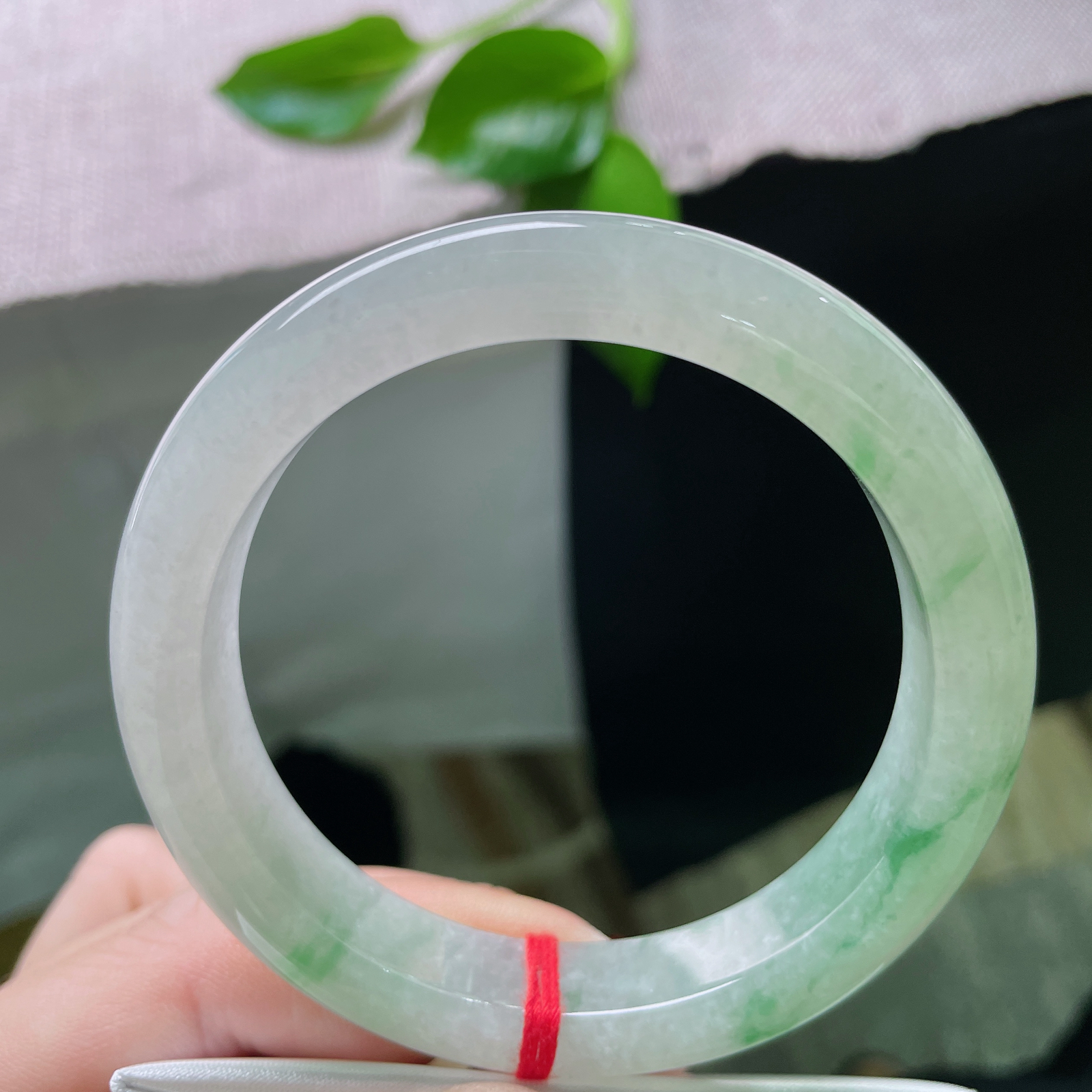 55.7/11.8/8.7，飘绿正圈，是一眼万年的惊艳，也是细水长流的耐看..