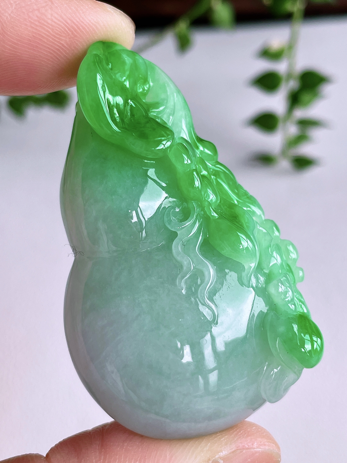 【裸石】冰飘阳绿葫芦吊坠
【说明】缅料 性价比高  
【尺寸】52-32.6-11.4