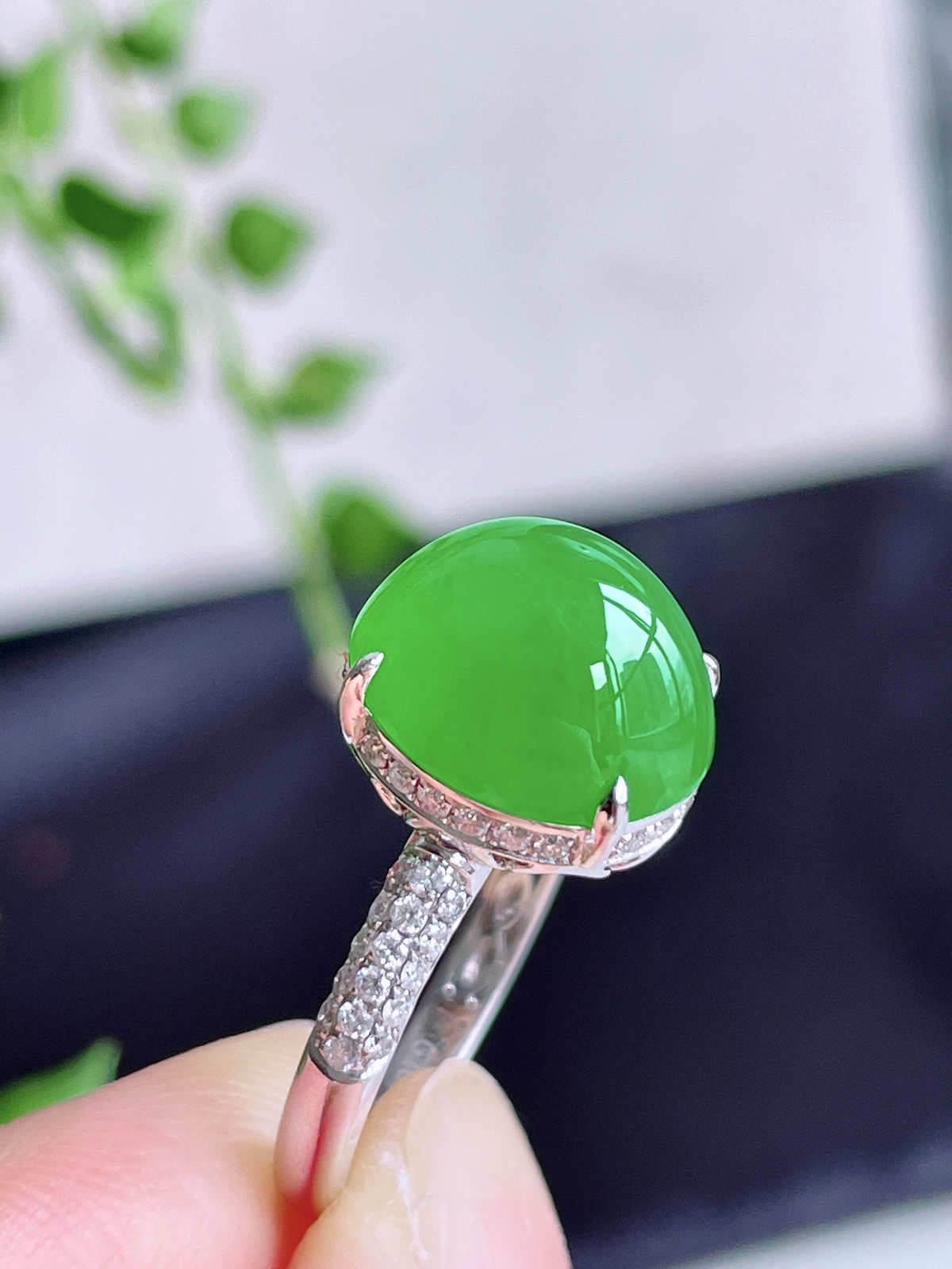 【镶嵌】冰阳绿蛋面戒指
【说明】缅料 18k金镶嵌 性价比高  
【整体】11.6-10-9.8
