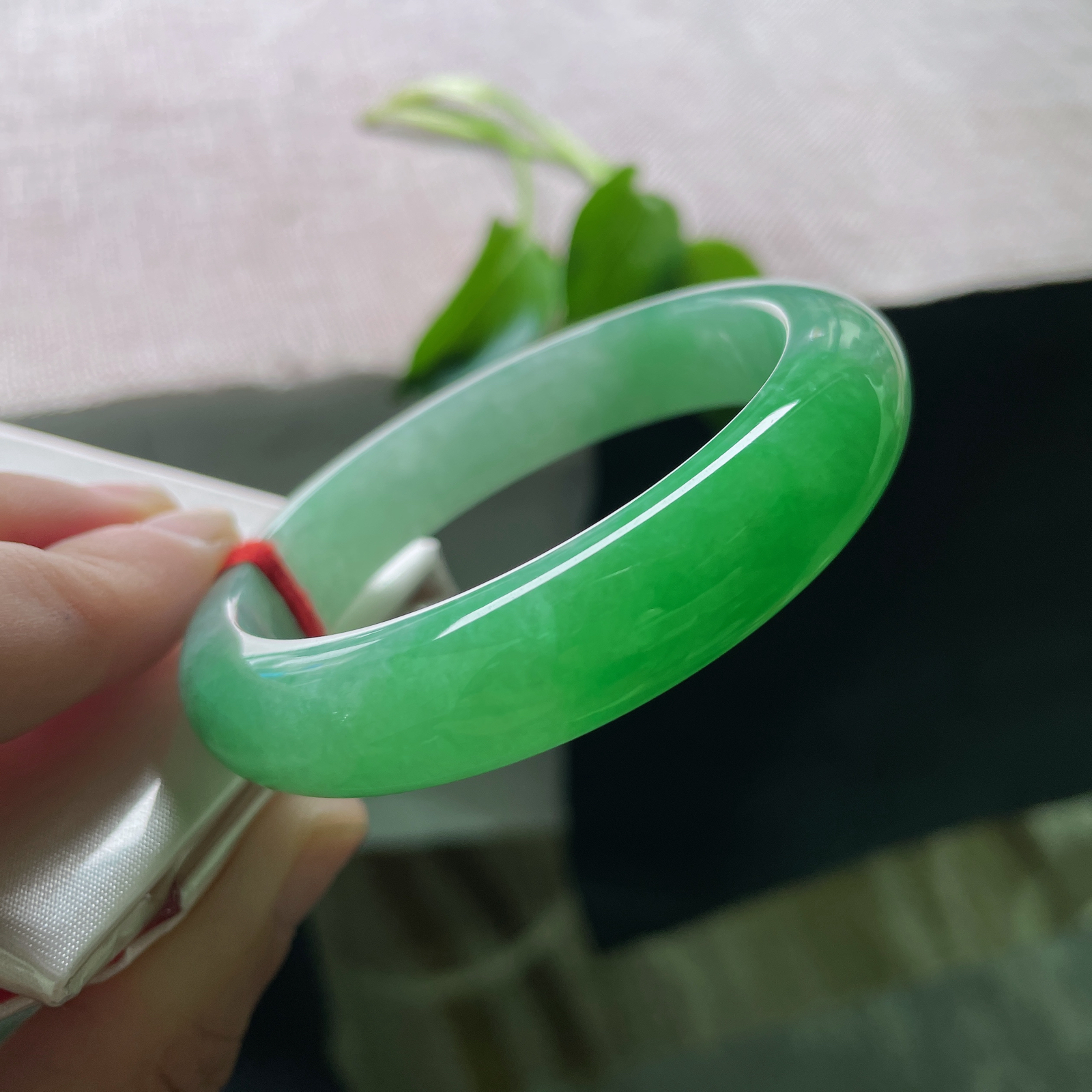 54.8/12.6/8.5，满绿正圈，是深潭静水映出的整片森林，万古长青..