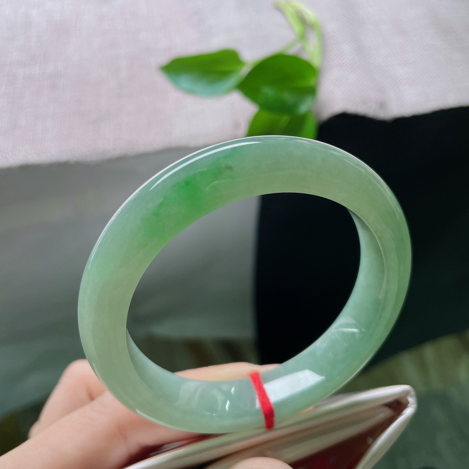 55.3/12.4/9，湖水绿正圈，一抹翠色鲜艳夺目，静谧又高级..ss49147a