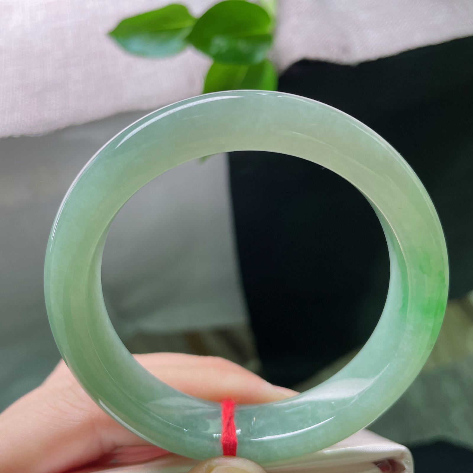 55.3/12.4/9，湖水绿正圈，一抹翠色鲜艳夺目，静谧又高级..ss49147a