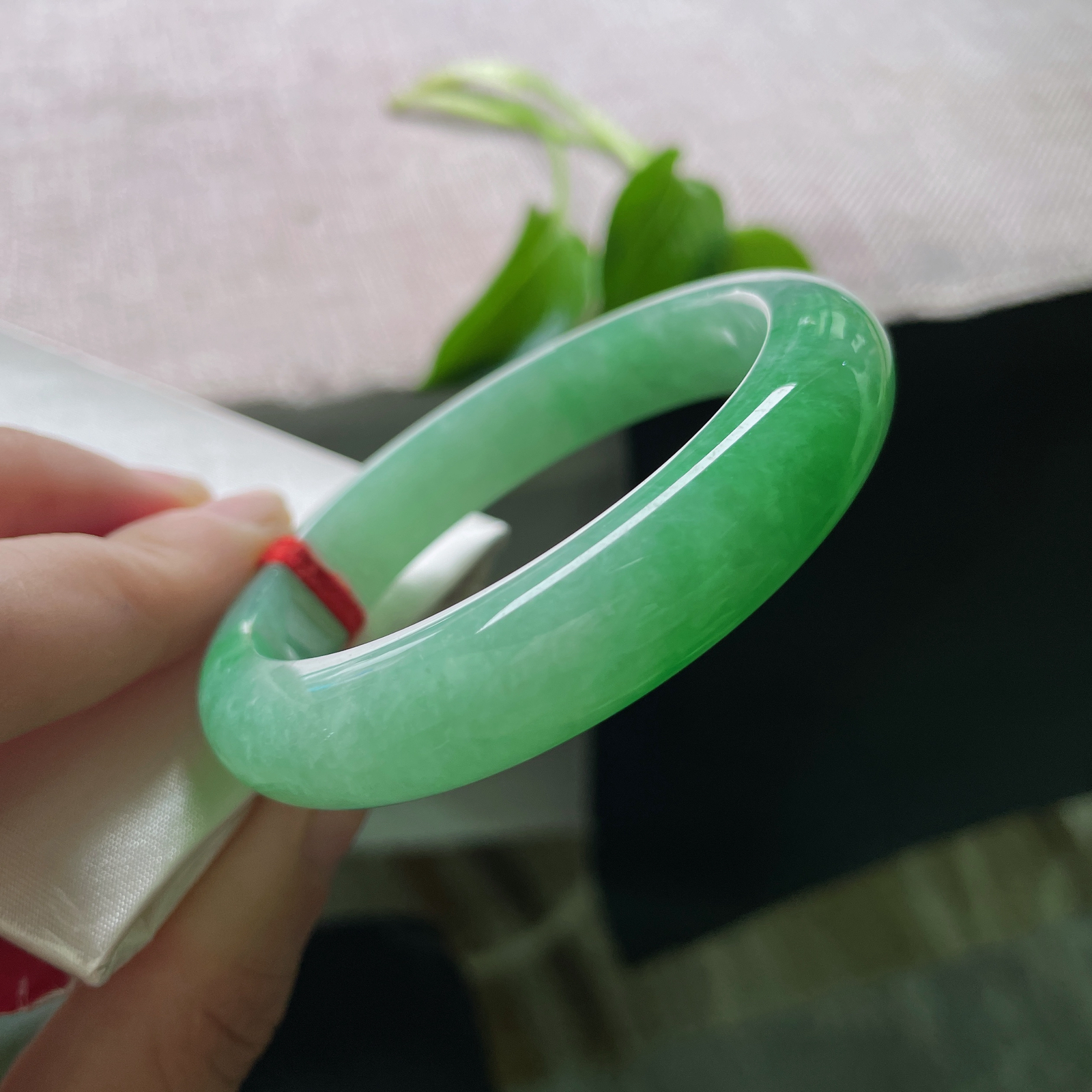 54.5/12.1/8.6，阳绿正圈，俏丽若三春之桃，水头好，种老，瑰姿艳逸..