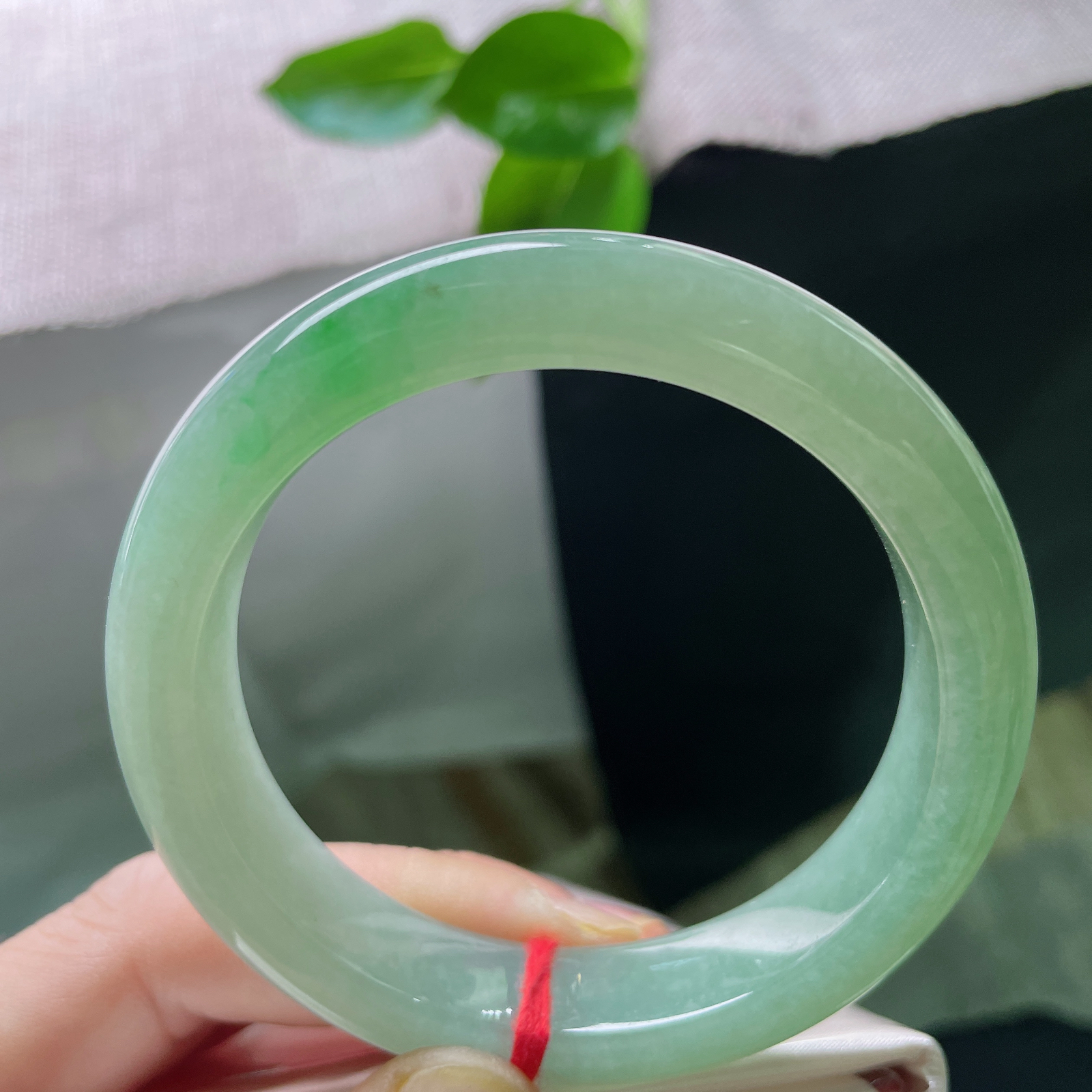 55.3/12.4/9，湖水绿正圈，一抹翠色鲜艳夺目，静谧又高级..ss49147a