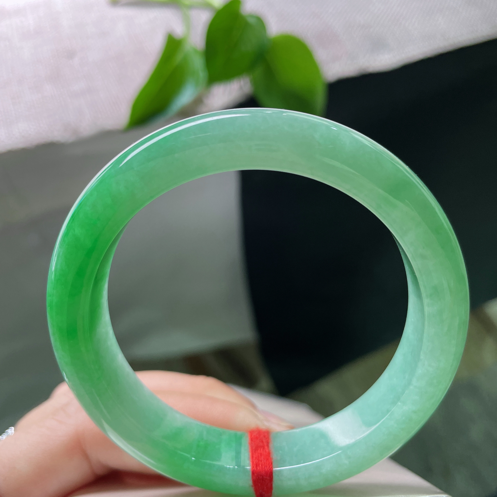 54.5/12.1/8.6，阳绿正圈，俏丽若三春之桃，水头好，种老，瑰姿艳逸..