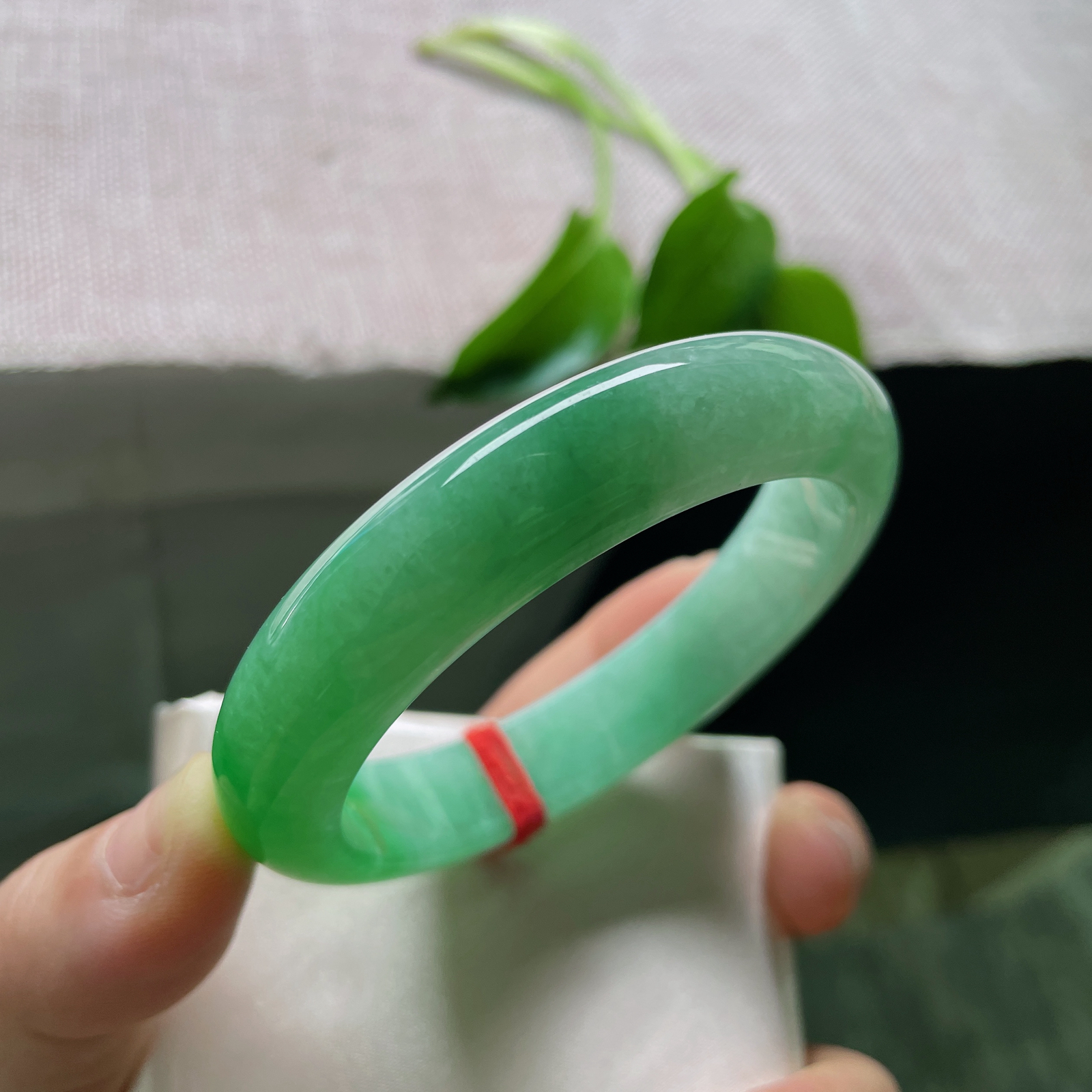 54.8/12.6/8.5，满绿正圈，是深潭静水映出的整片森林，万古长青..