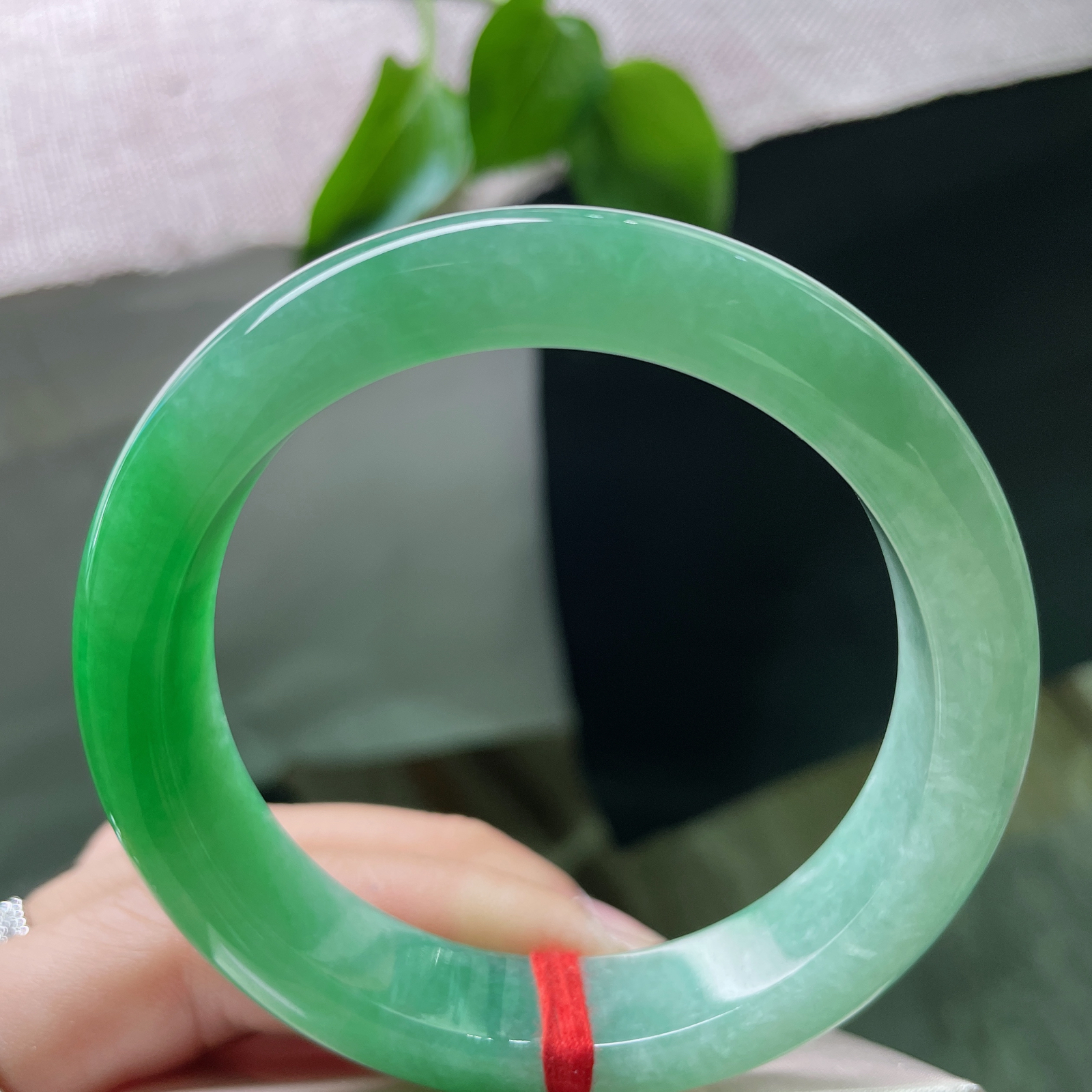 54.8/12.6/8.5，满绿正圈，是深潭静水映出的整片森林，万古长青..