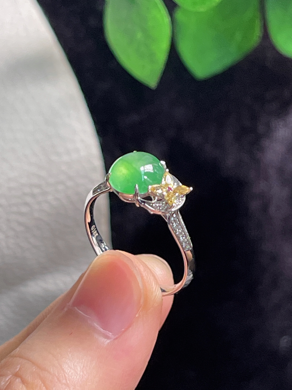 18k金翡翠冰糯种绿色戒指