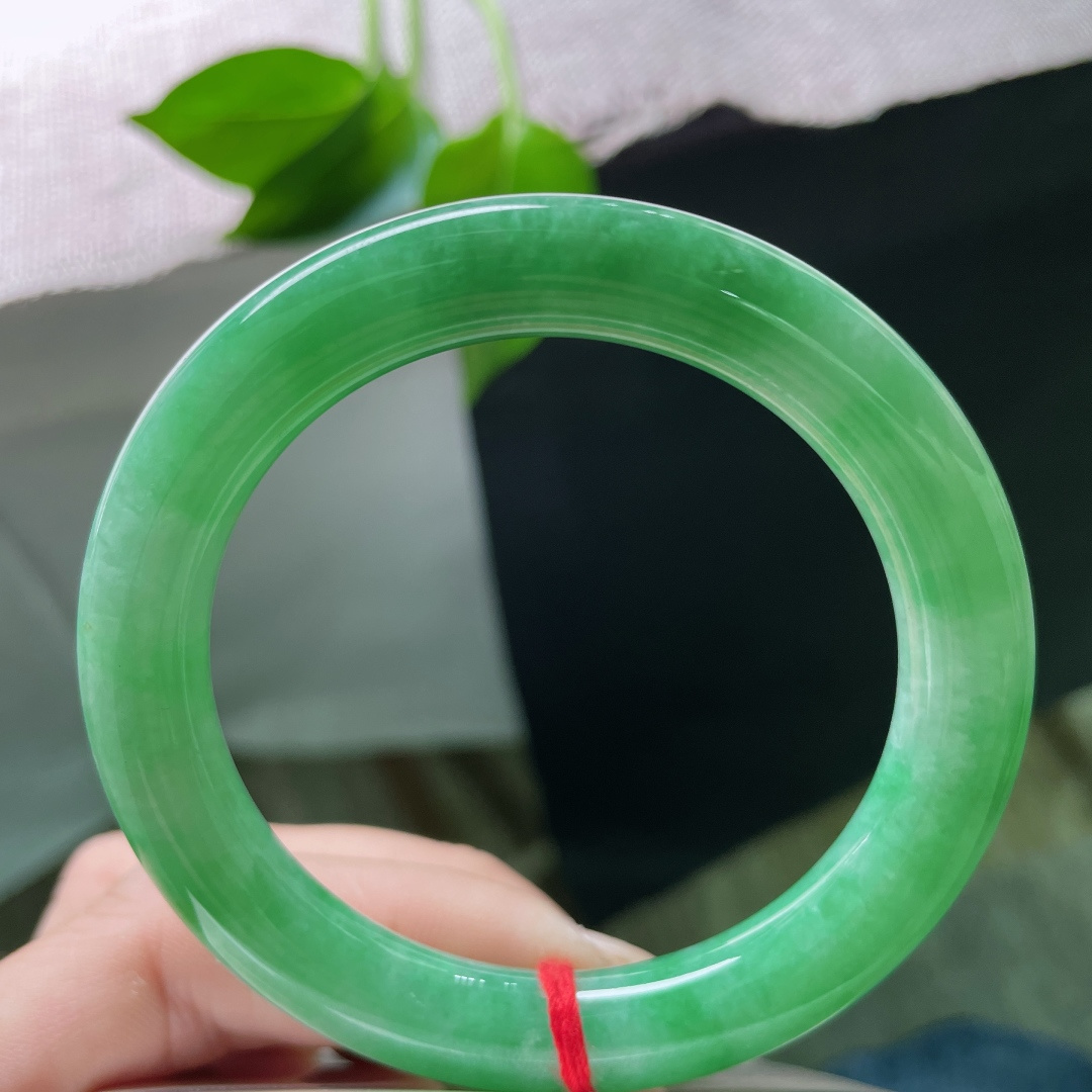 53.5/9.5绿底圆条，浓得化不开的绿，是雨林深处最沉静的那口呼吸。皮纹，ss49436a