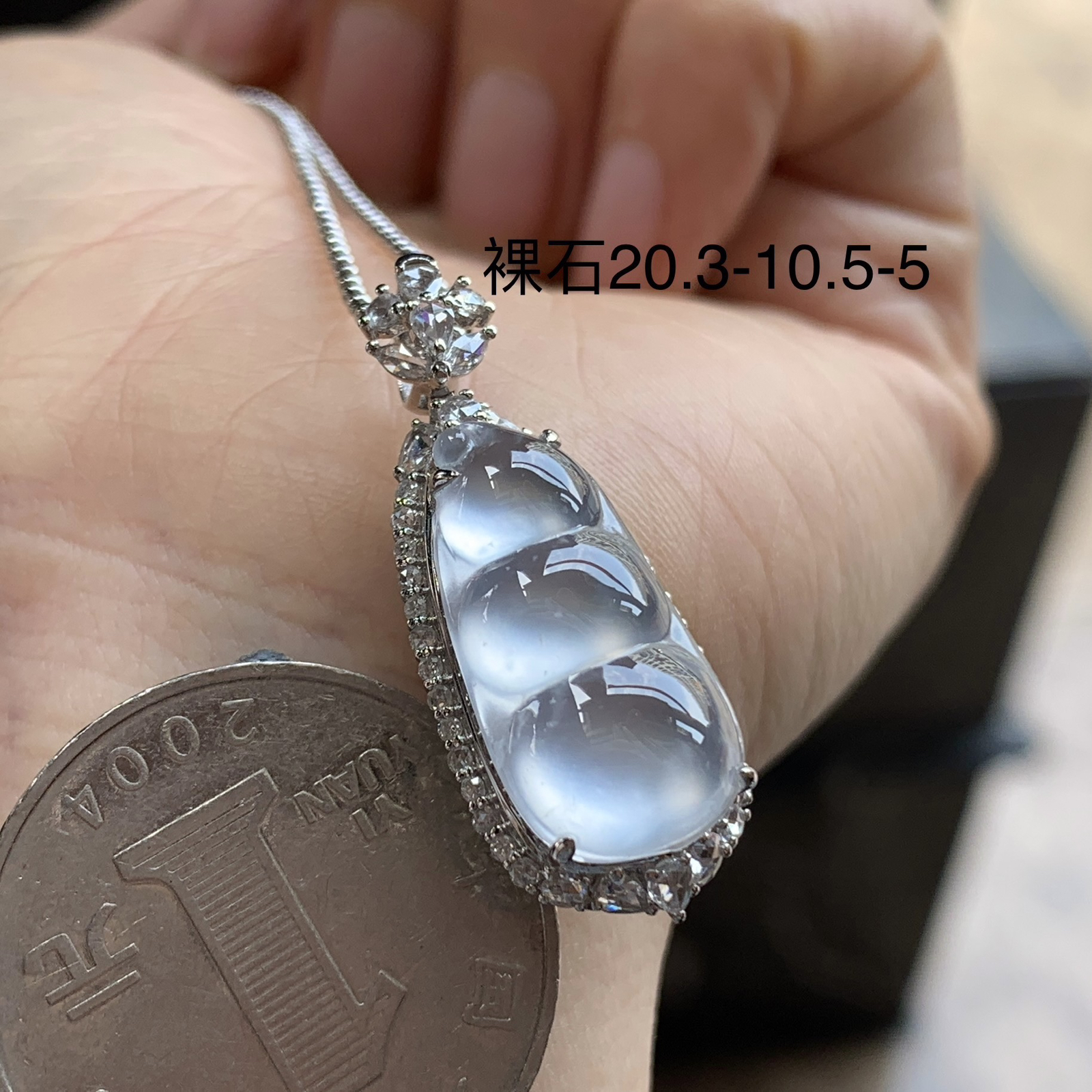 金钻镶嵌冰雪花棉豆子^_^荧光十足