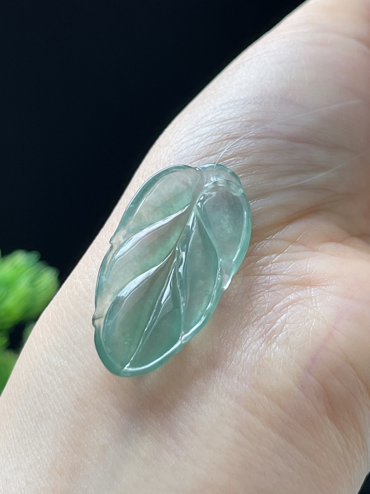 翡翠冰糯种淡绿色叶子