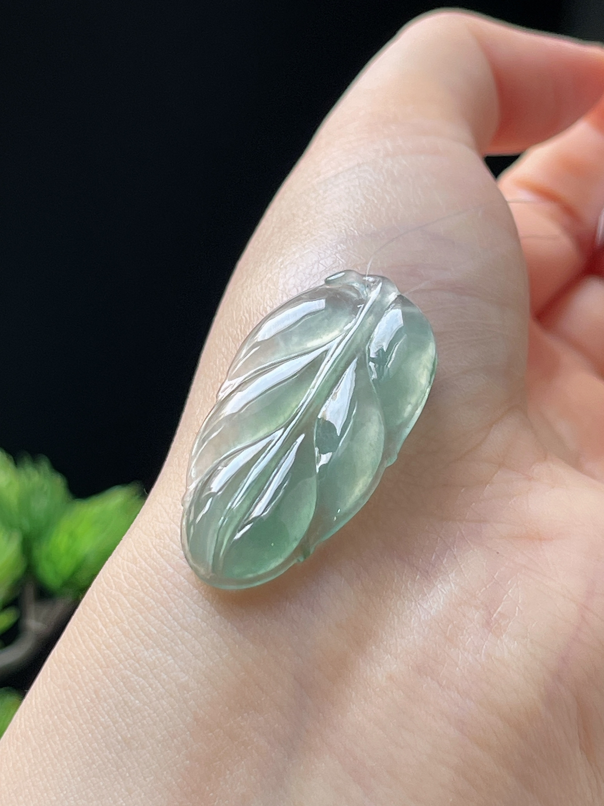 翡翠冰糯种淡绿色叶子