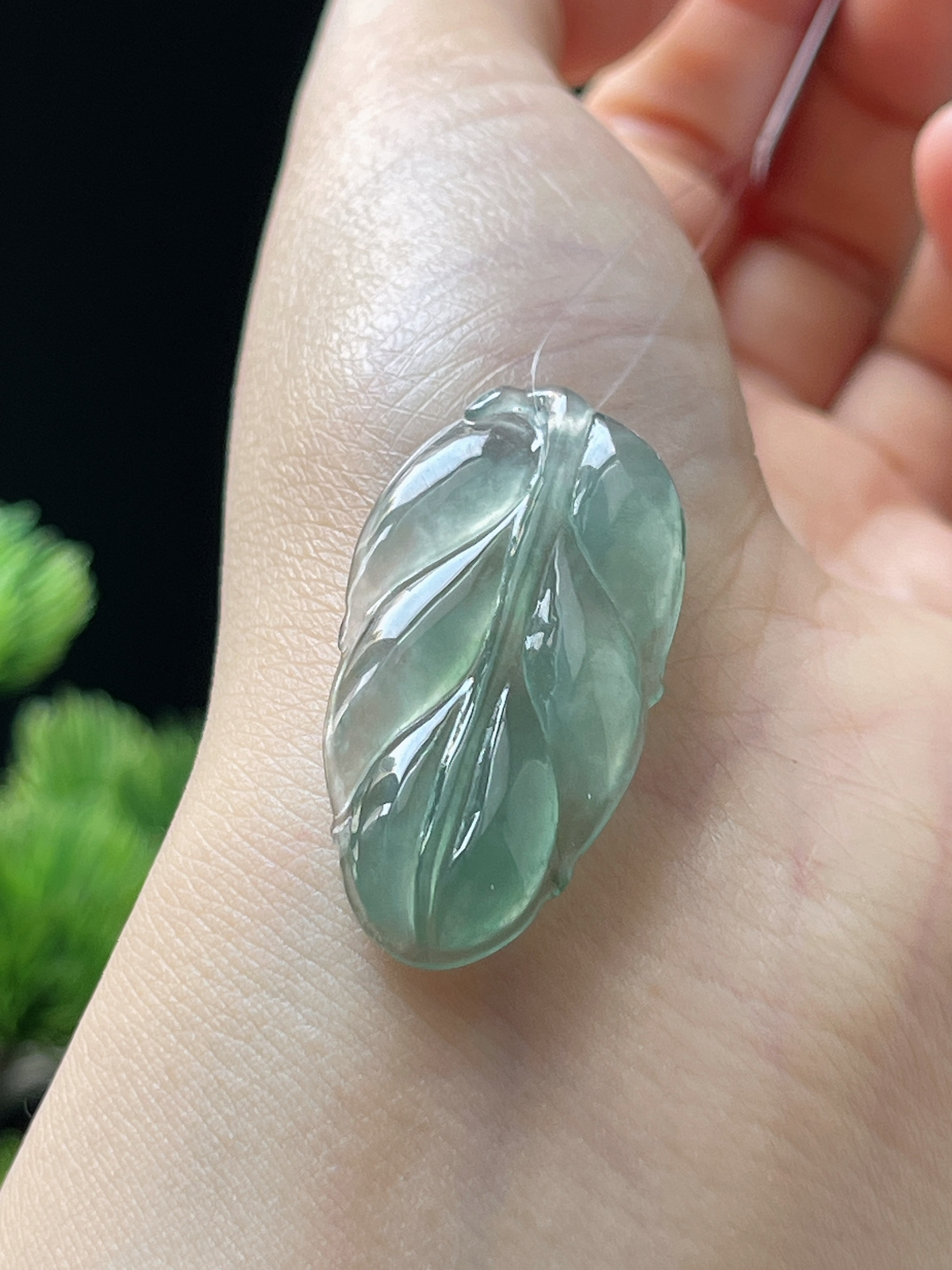 翡翠冰糯种淡绿色叶子