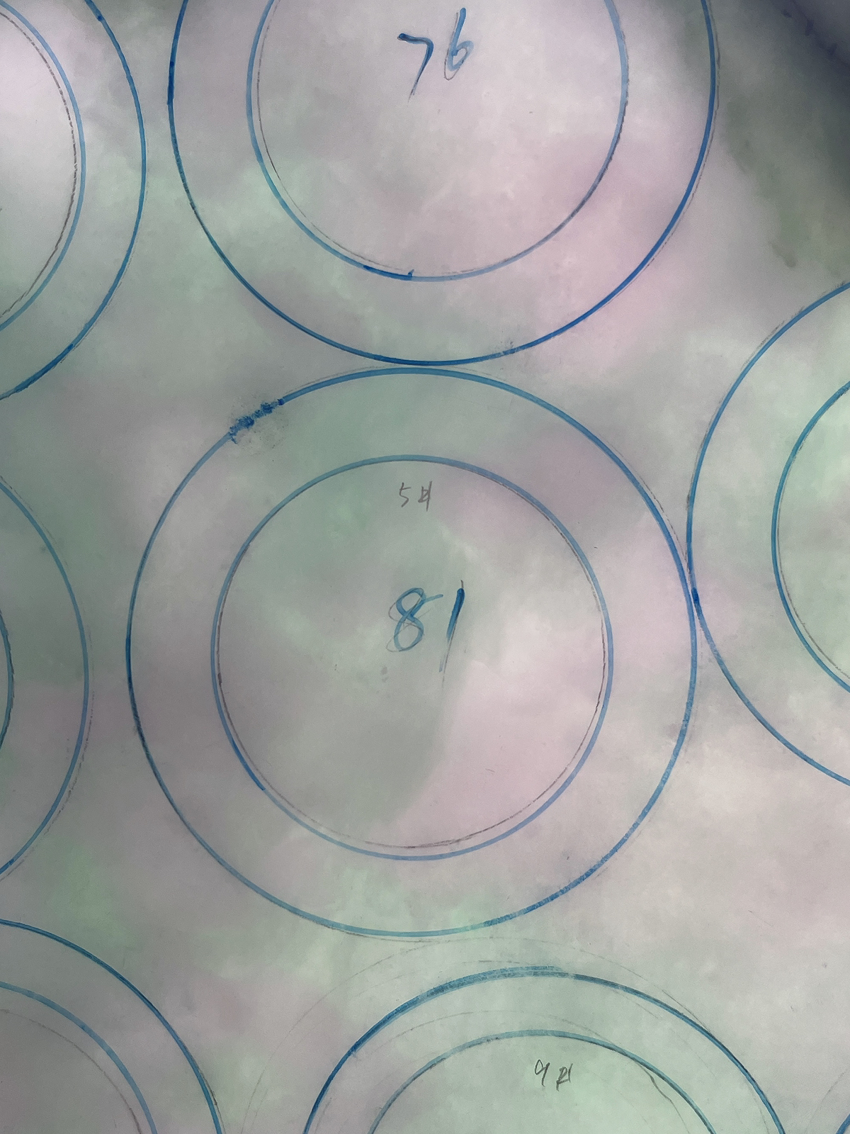 翡翠板料，⭕️正圈最大做65，圆条最大做61