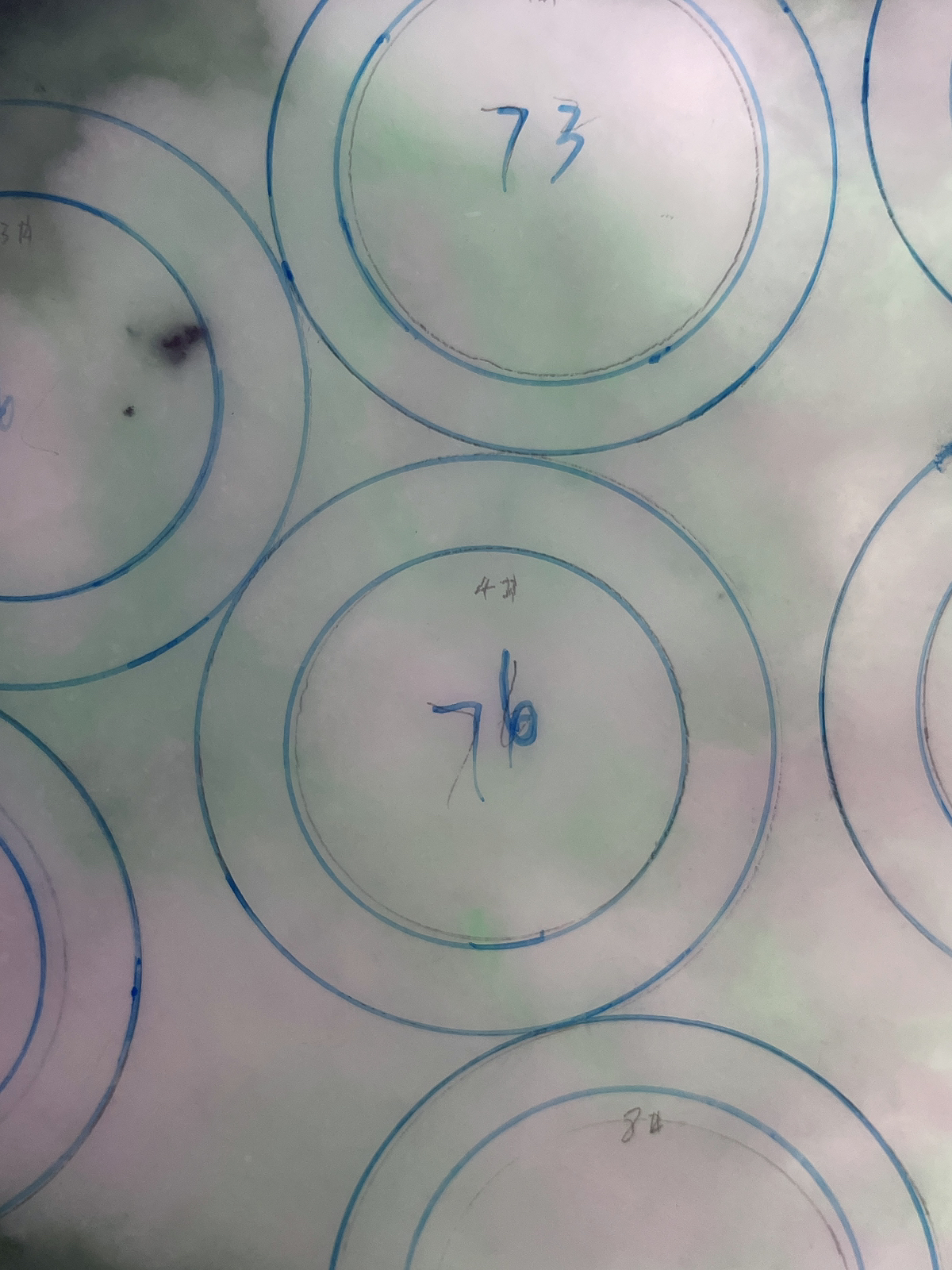 翡翠板料，⭕️正圈最大做60，圆条最大做56