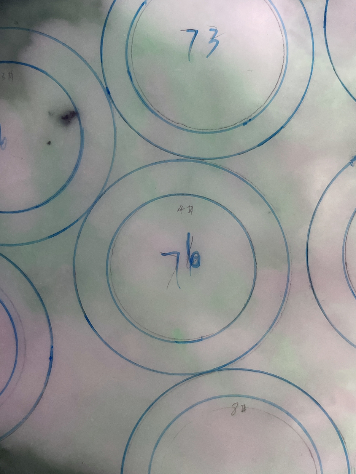 翡翠板料，⭕️正圈最大做60，圆条最大做56