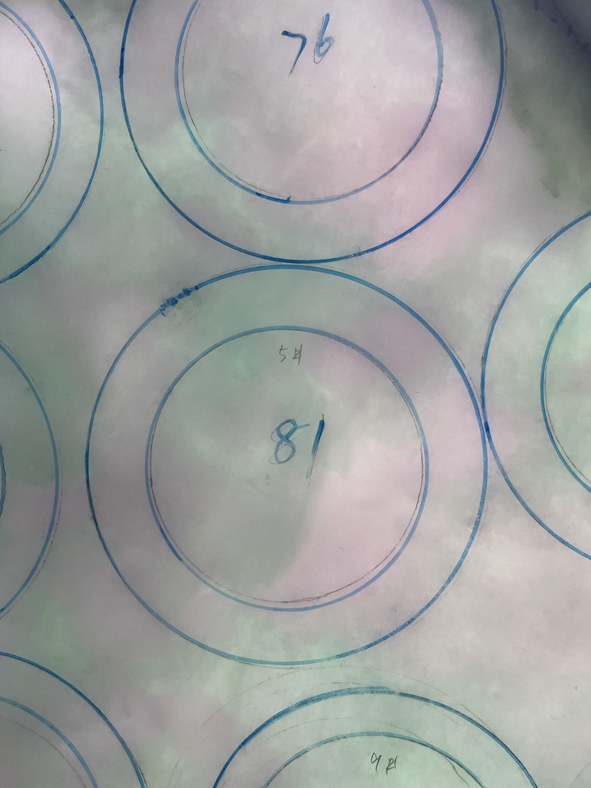 翡翠板料，⭕️正圈最大做65，圆条最大做61