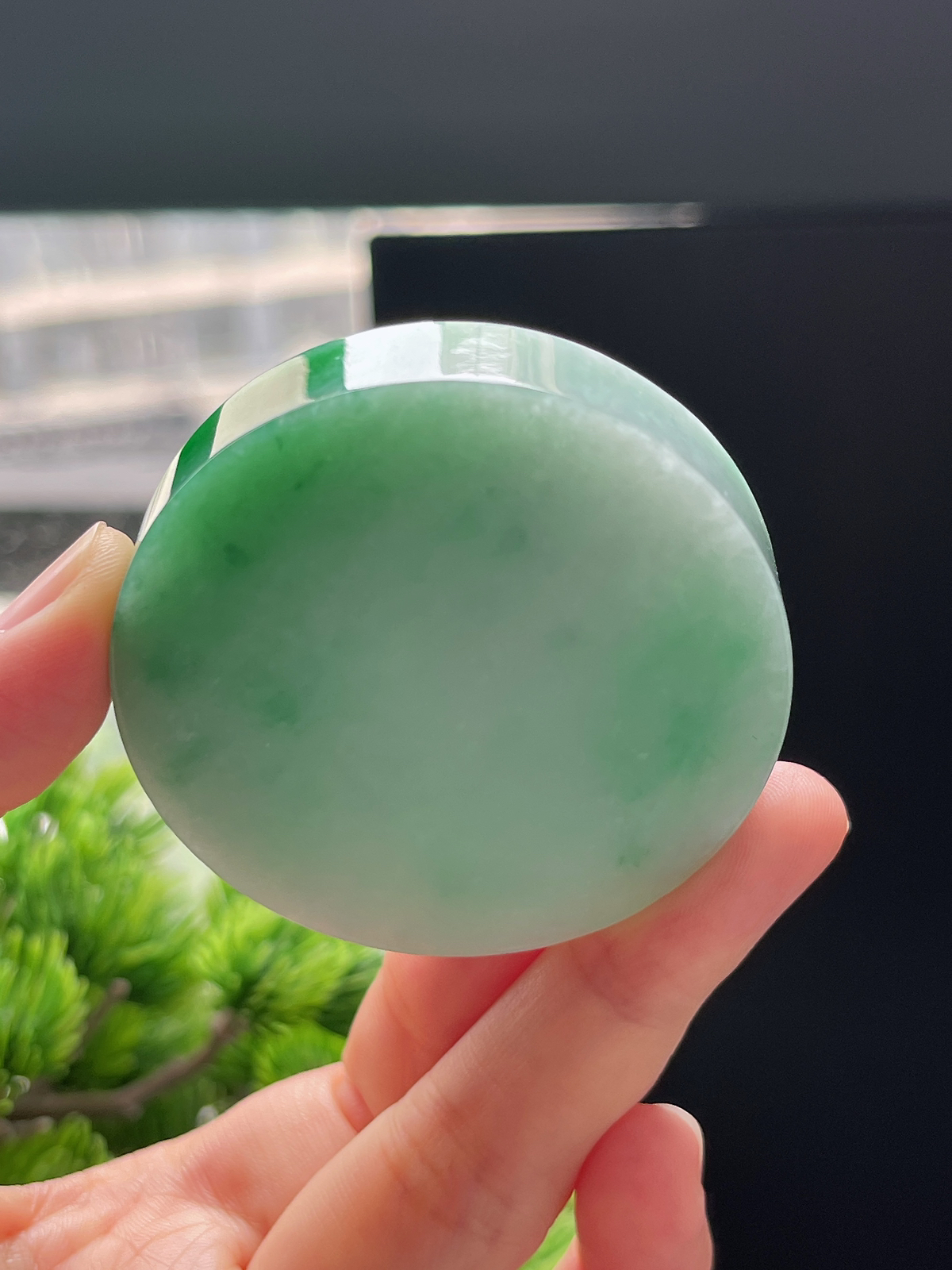 翡翠飘阳绿镯心