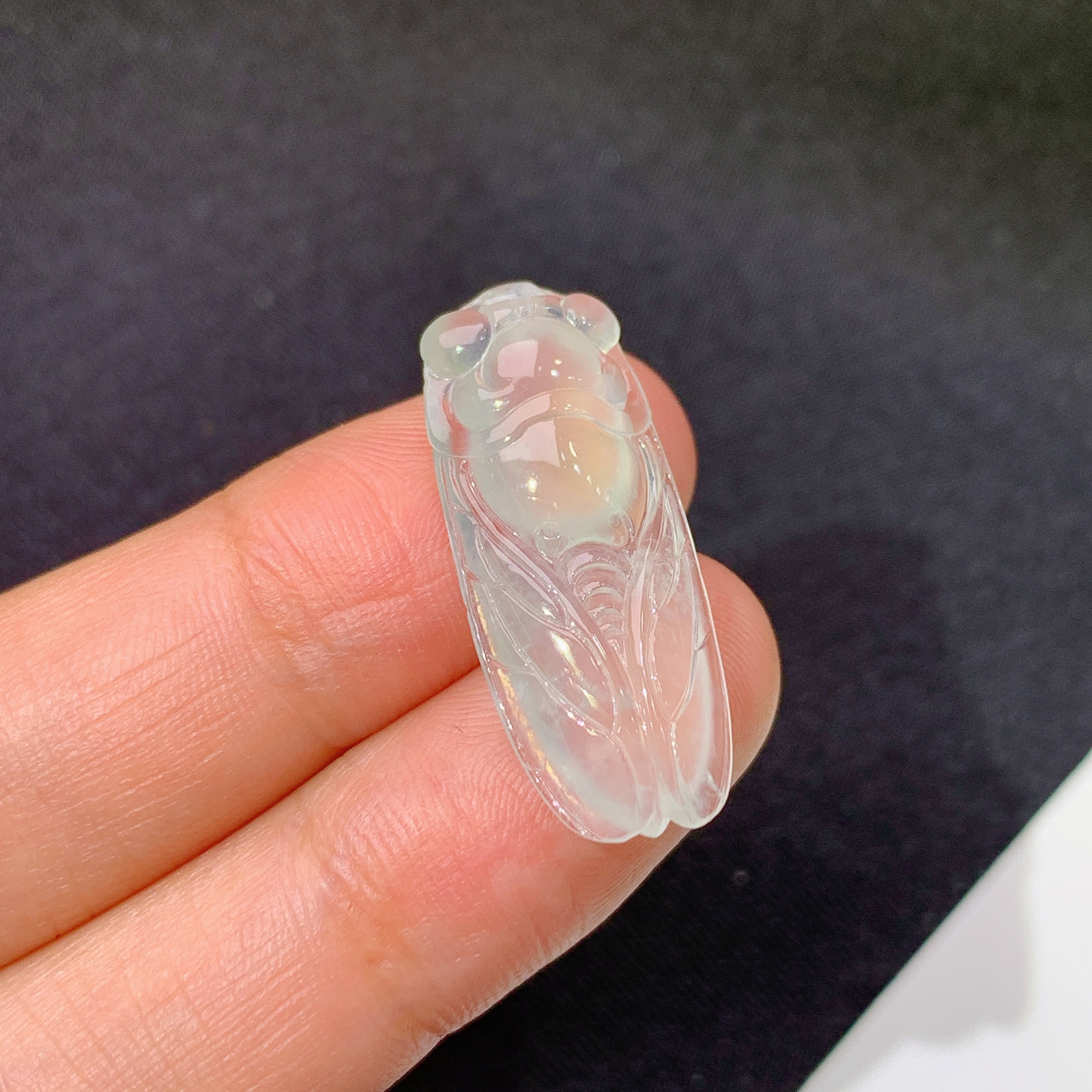 冰种金蝉，一鸣惊人，冰润细腻，种水足，Xg 尺寸26.6*10.8*4.3