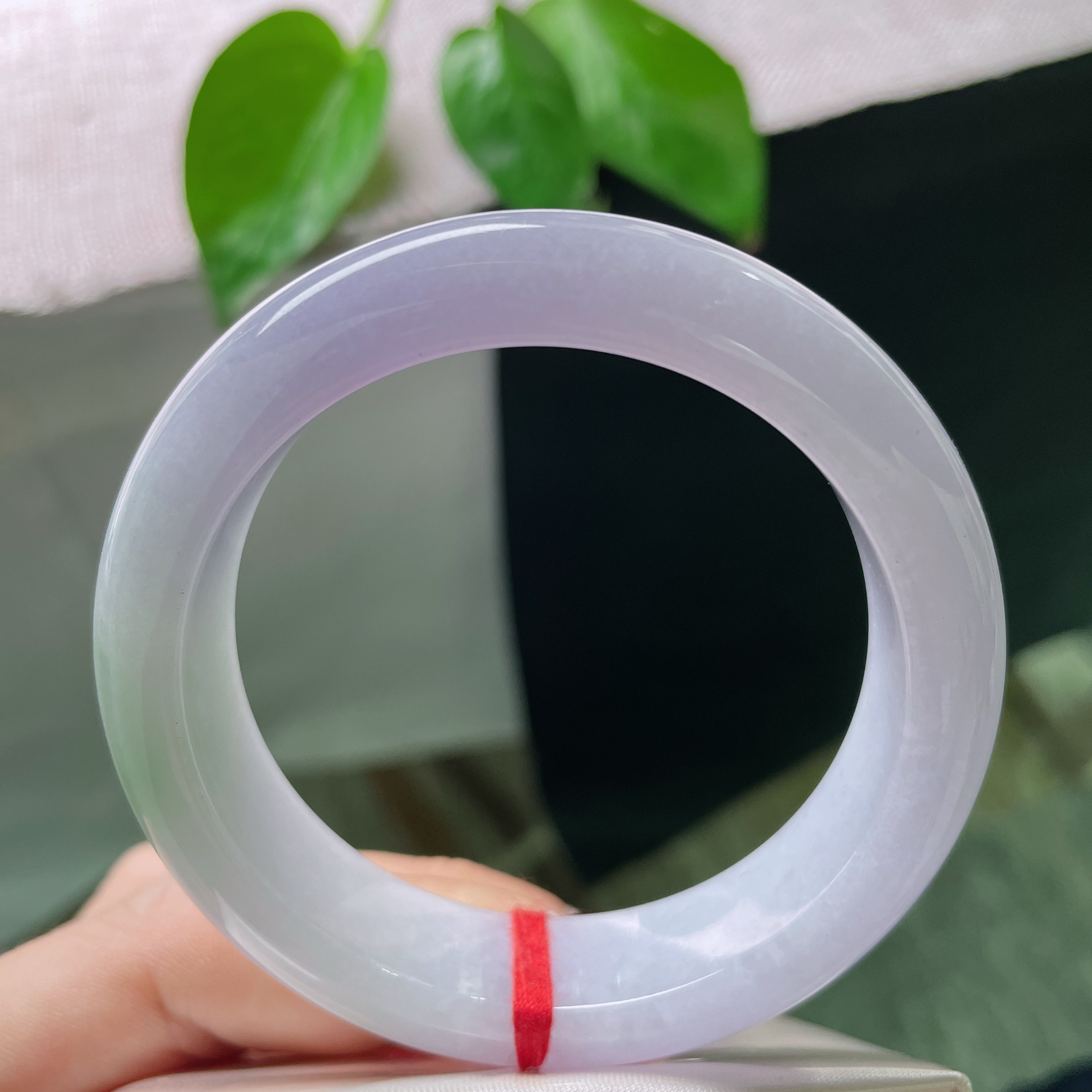 53.5/14.1/8.9紫罗兰正圈，细润，种老，回眸一笑胜星华，宽版..