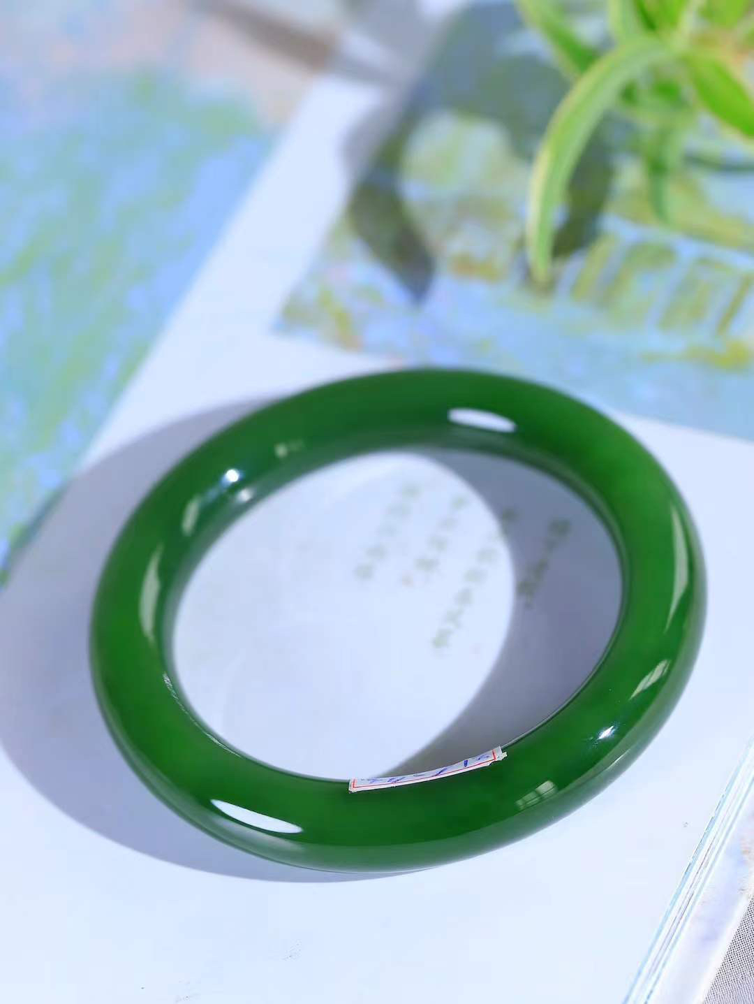 【悠悠芳华.镯】

收藏级臻品️和田玉碧玉手镯 玉质温润 青葱岁月，尽收腕中，婉转流畅，凝岁月悠长。盈一眸恬淡，挽一抹绿意。重63.8克 内径56mm尺寸11.7-10.7mm56401113T