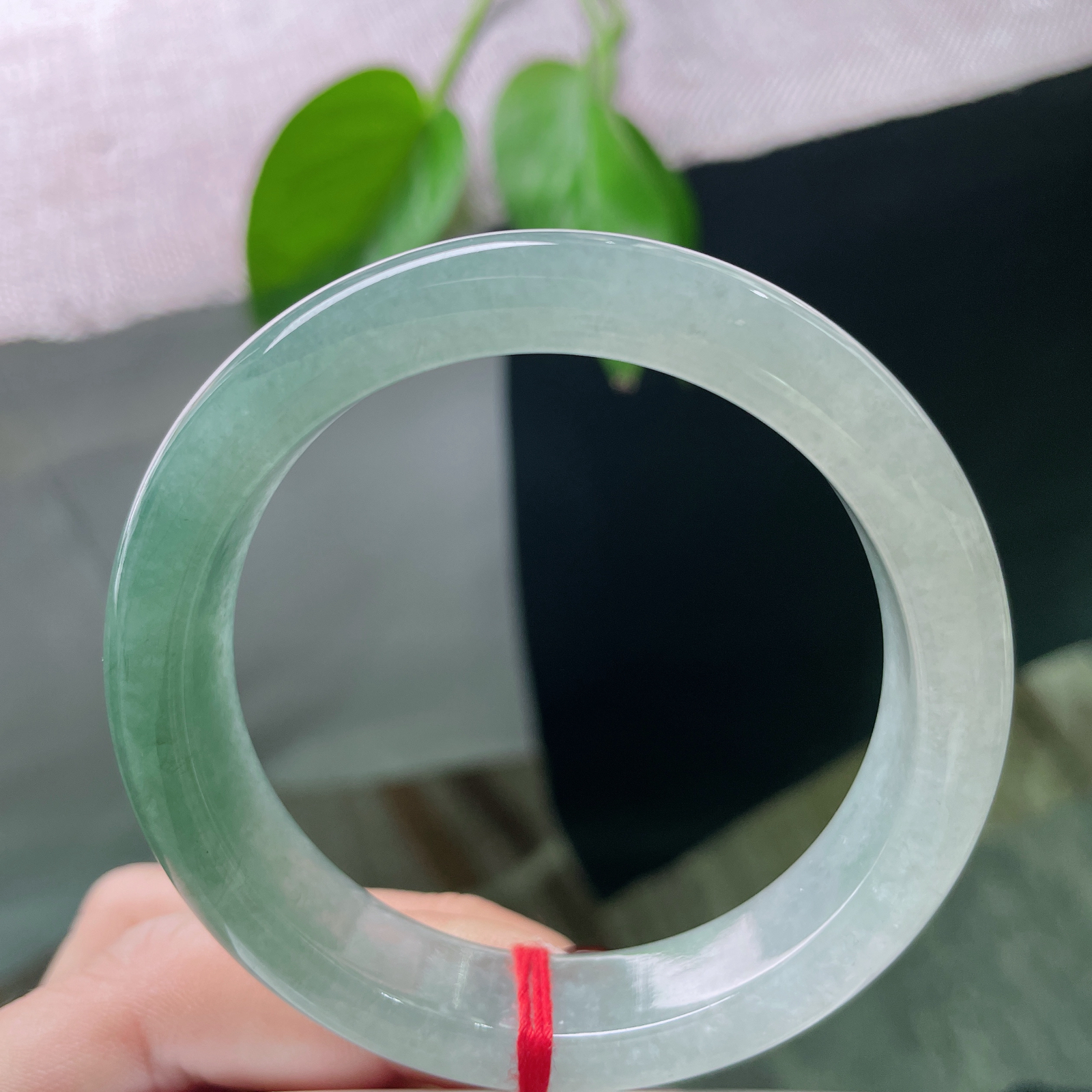 54.5/12.8/8.1，冰油正圈，水润细腻，冰感好，大气。