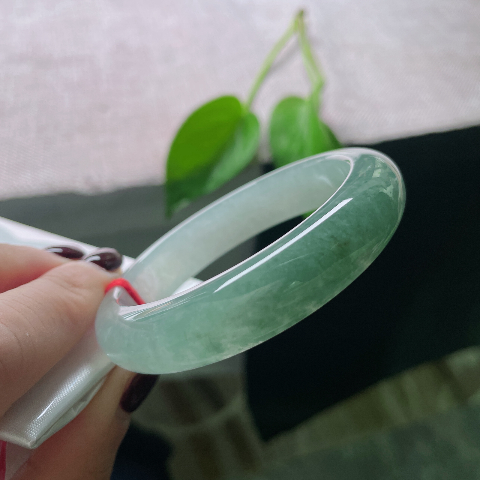 54.5/12.8/8.1，冰油正圈，水润细腻，冰感好，大气。