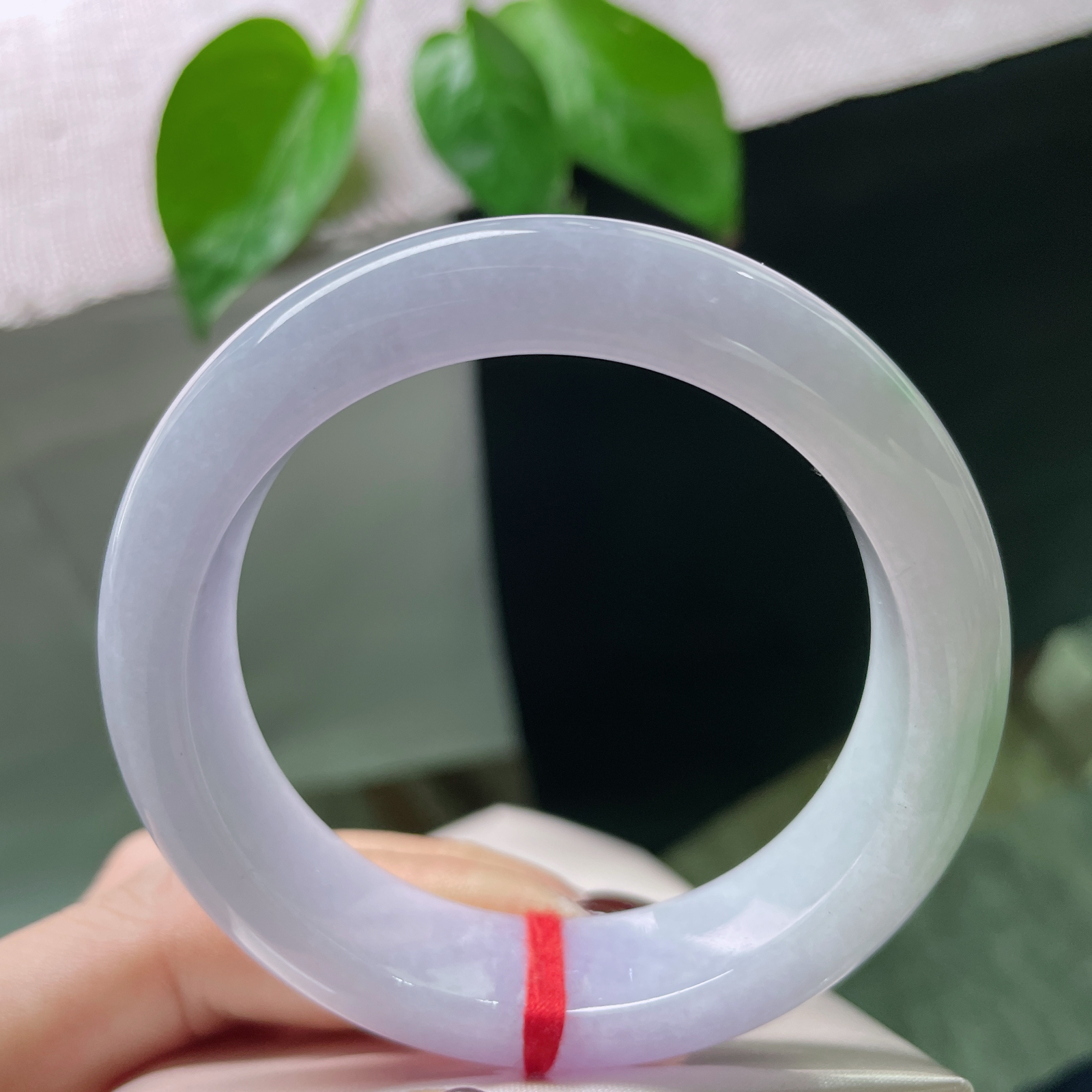 53.5/14.1/8.9紫罗兰正圈，细润，种老，回眸一笑胜星华，宽版..