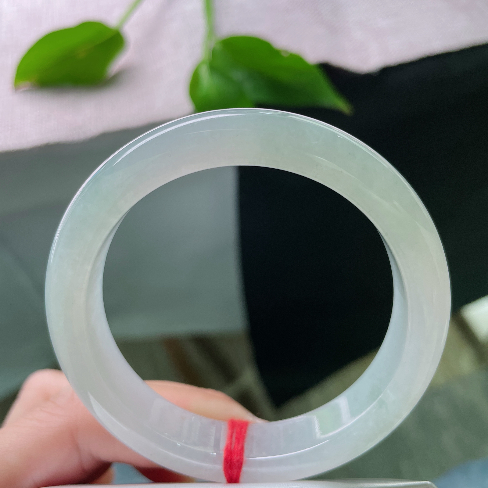 54.9/12.1/8.1，淡绿底正圈，芙蓉肉，小清新，素雅清秀，端庄淑女..