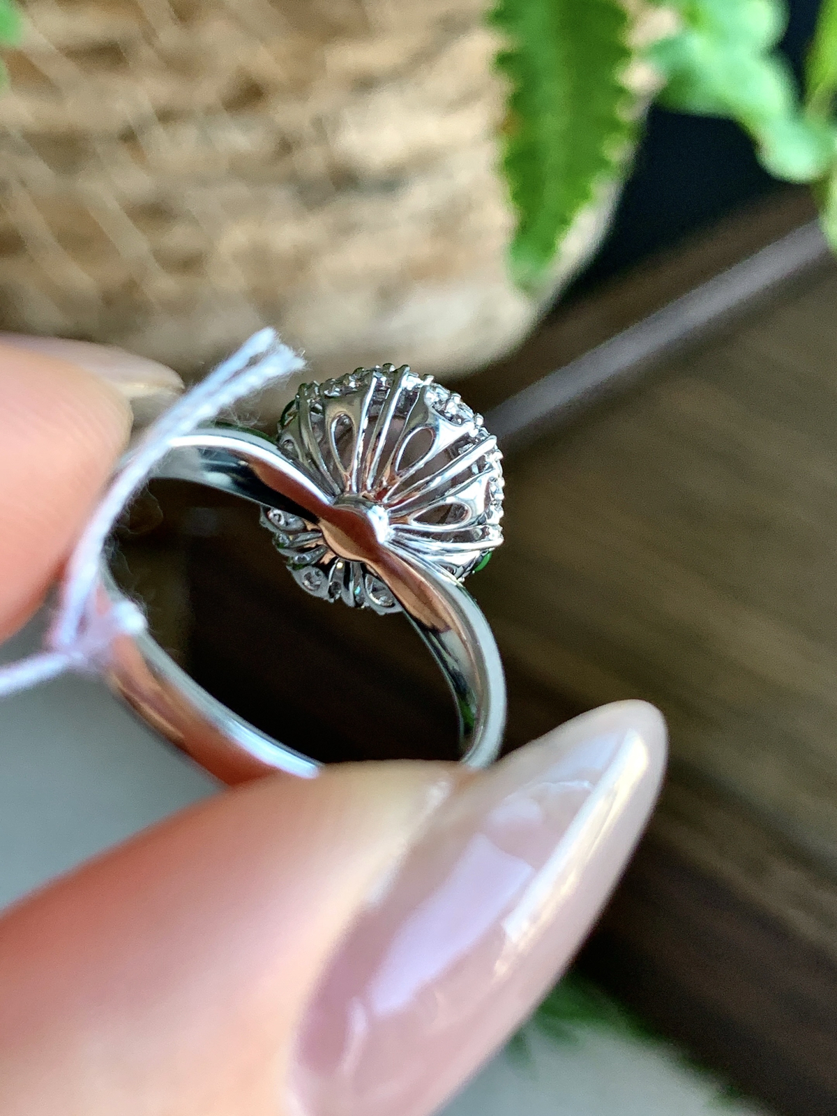 【镶嵌】️高冰黄翡蛋面戒指
【说明】缅料  18k金镶嵌 性价比高  
【整体】12-11.5-11.3
【圈口】14号..