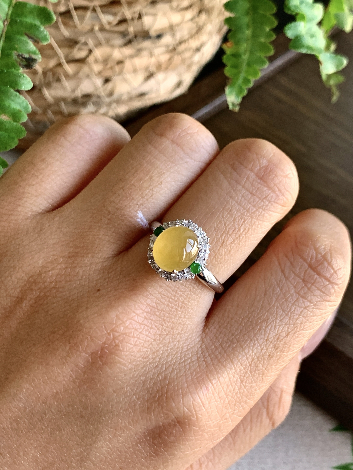 【镶嵌】️高冰黄翡蛋面戒指
【说明】缅料  18k金镶嵌 性价比高  
【整体】12-11.5-11.3
【圈口】14号..