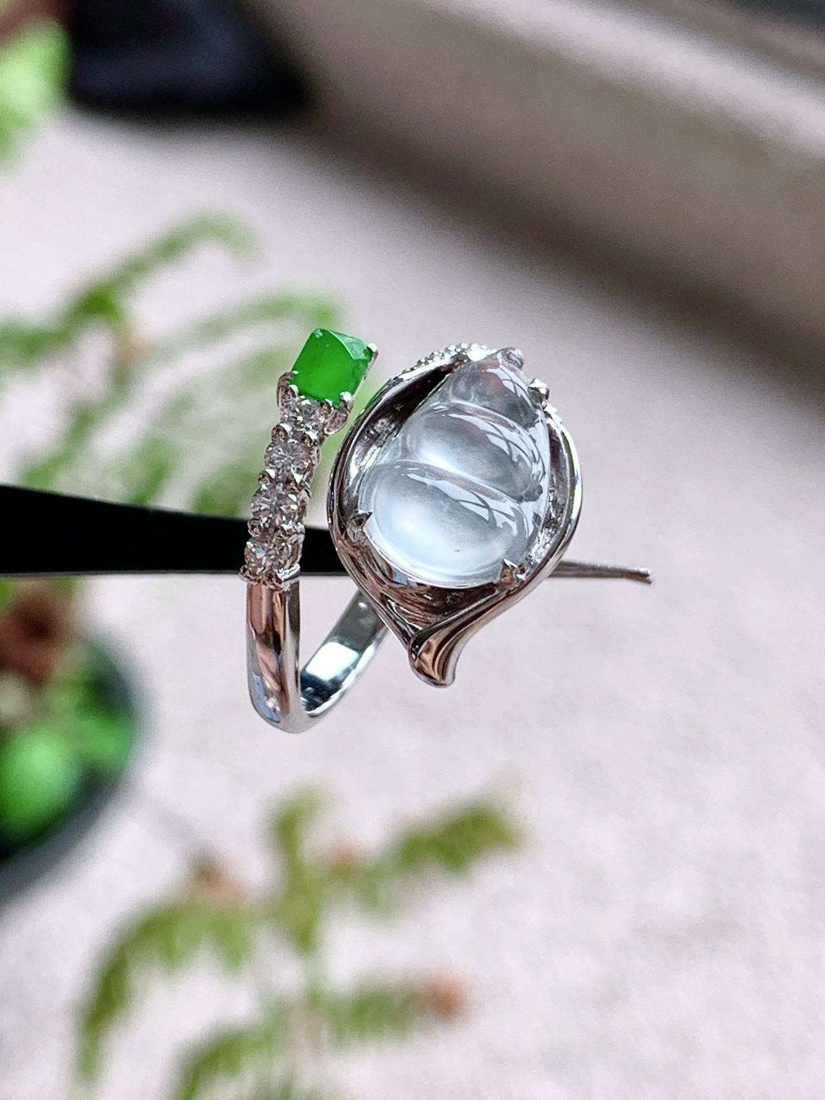 【镶嵌】🫧玻璃种豆子福豆戒指
【说明】缅料 18k金镶嵌 性价比高  
【裸石】12.5-7.8-2
【圈口】14号