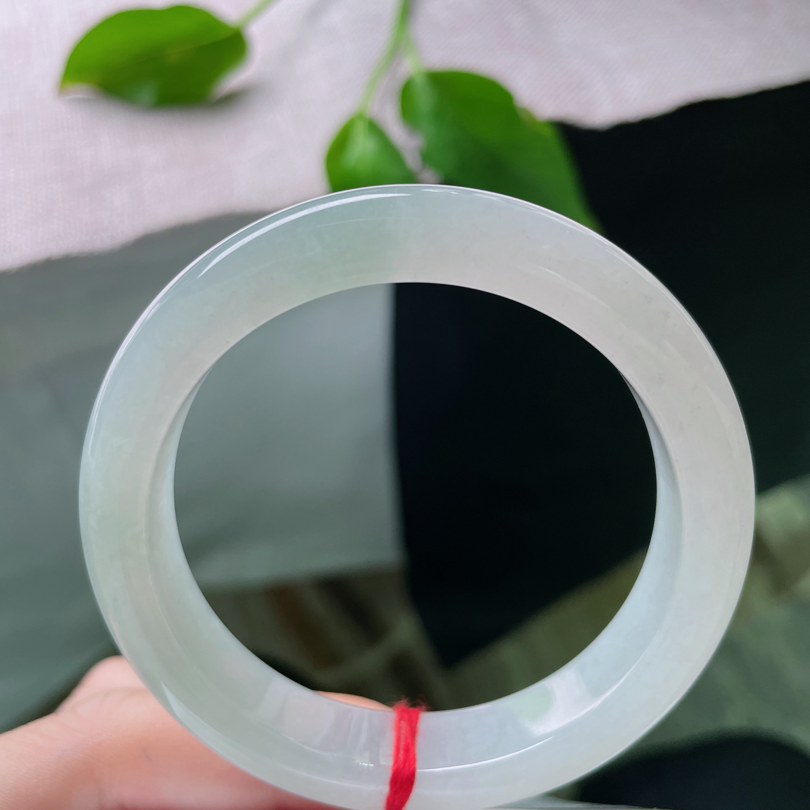 54.5/12/8.4。淡绿底正圈，巧笑嫣然，清润温柔，越看越舒心..