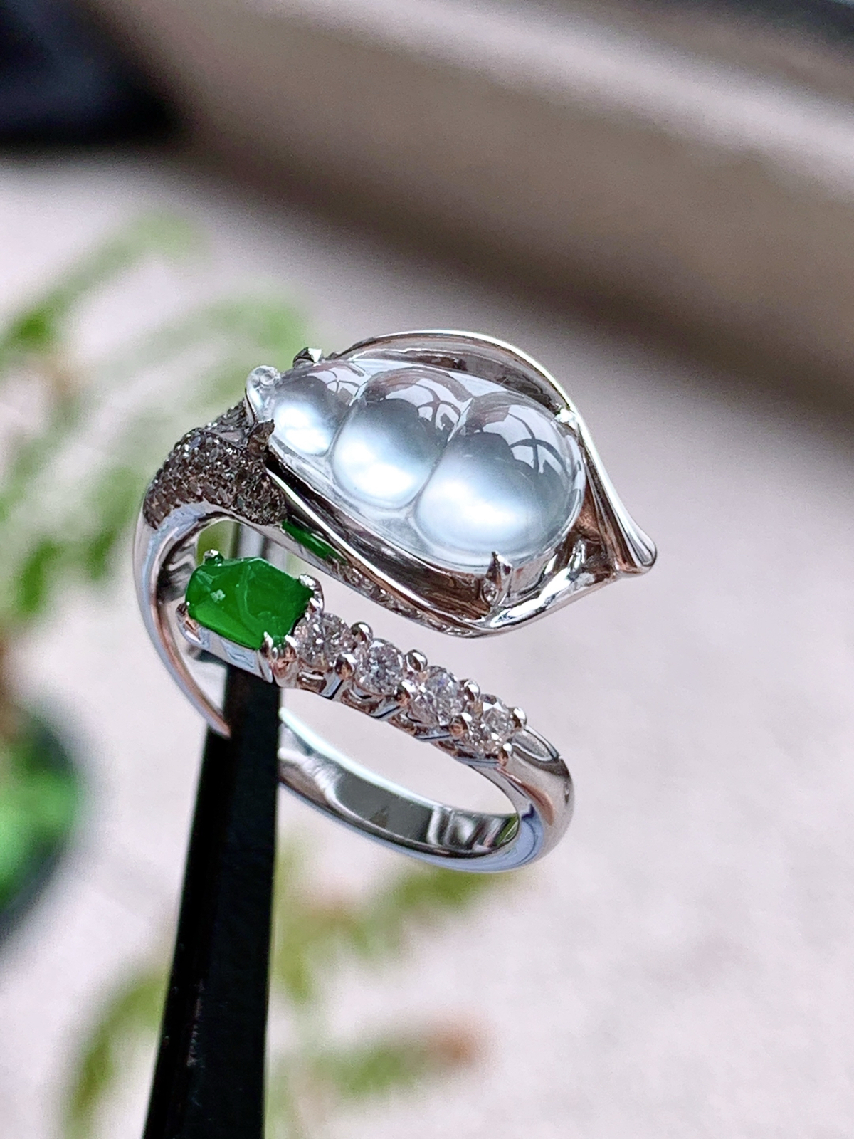 【镶嵌】🫧玻璃种豆子福豆戒指
【说明】缅料 18k金镶嵌 性价比高  
【裸石】12.5-7.8-2
【圈口】14号