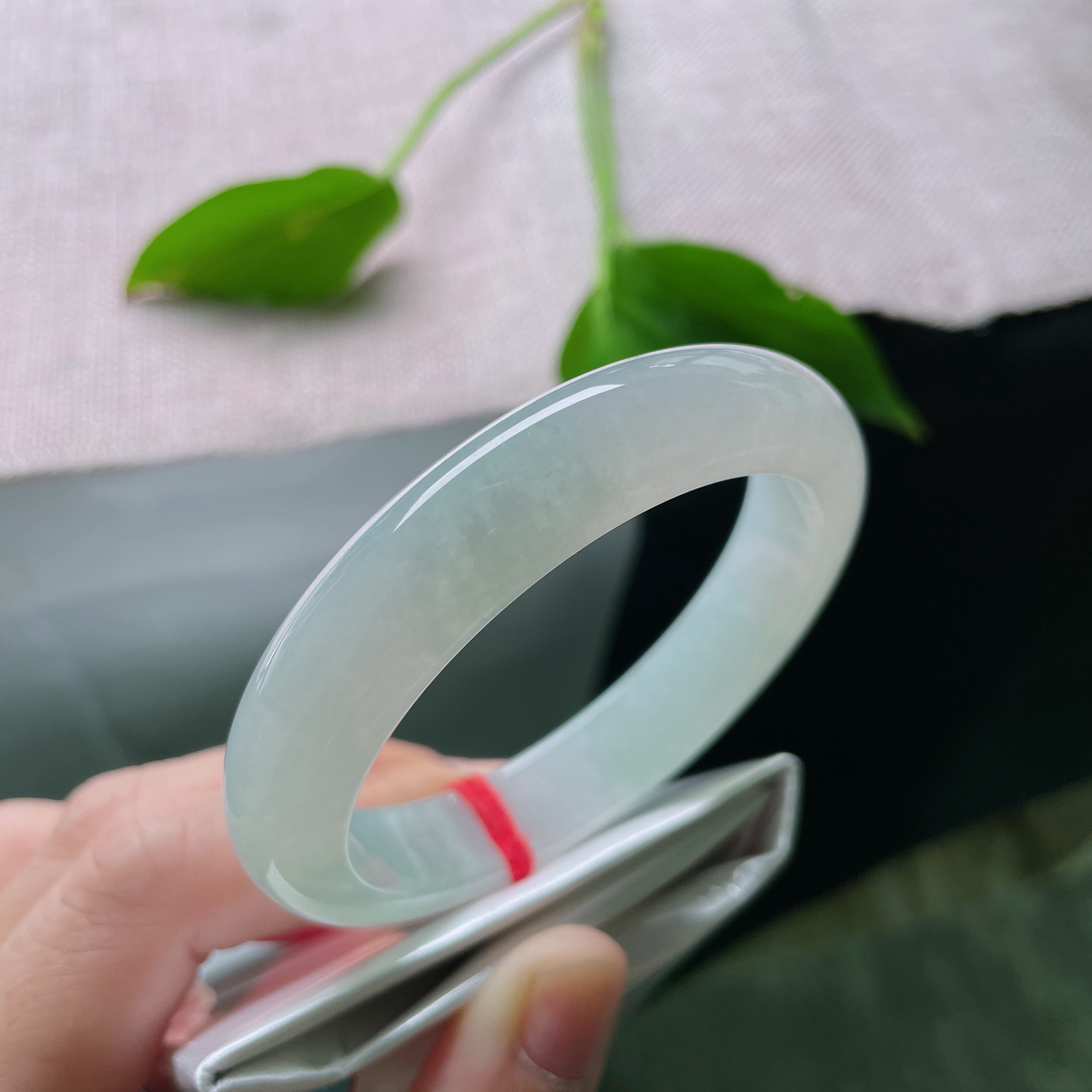 54.9/12.1/8.1，淡绿底正圈，芙蓉肉，小清新，素雅清秀，端庄淑女..