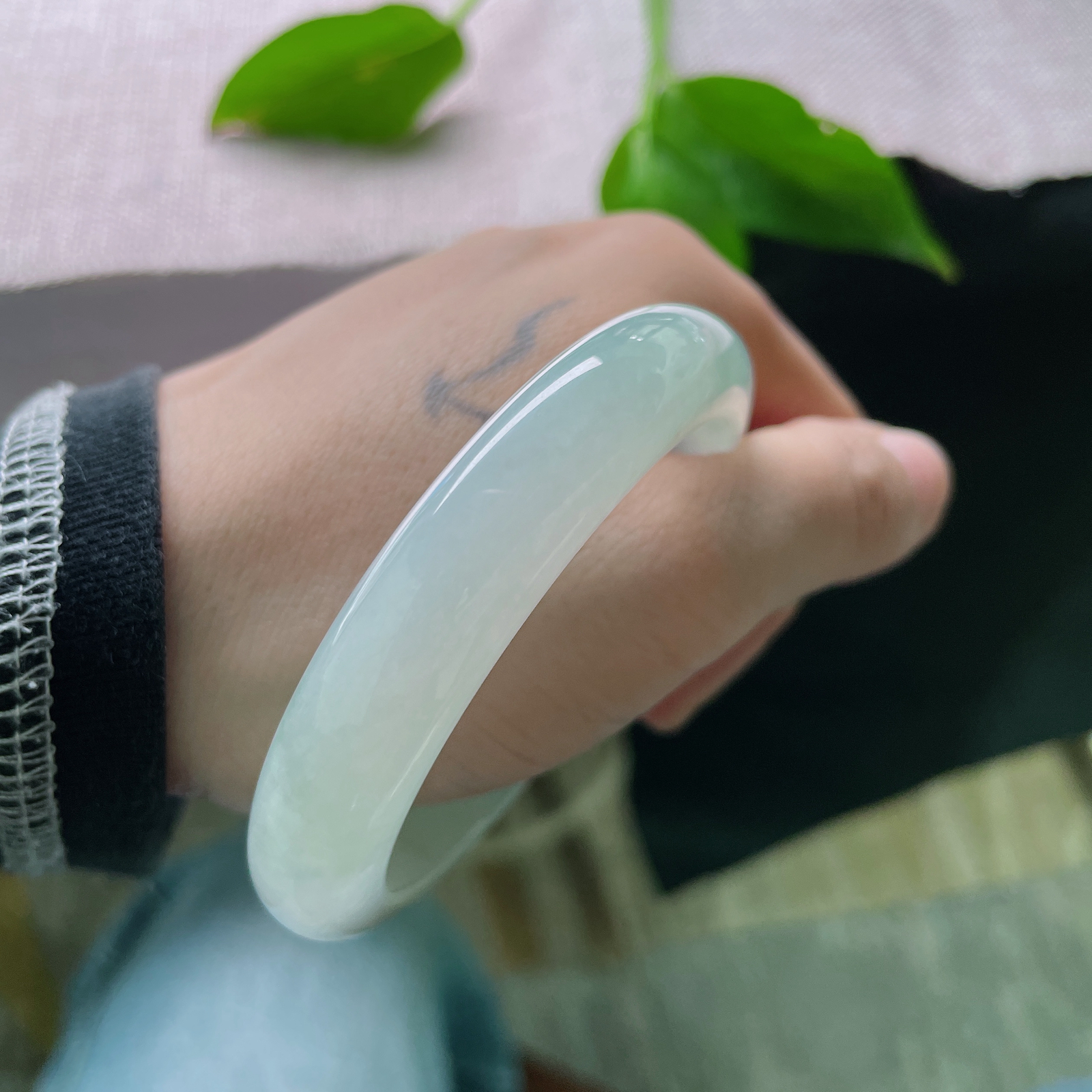 54.9/12.1/8.1，淡绿底正圈，芙蓉肉，小清新，素雅清秀，端庄淑女..