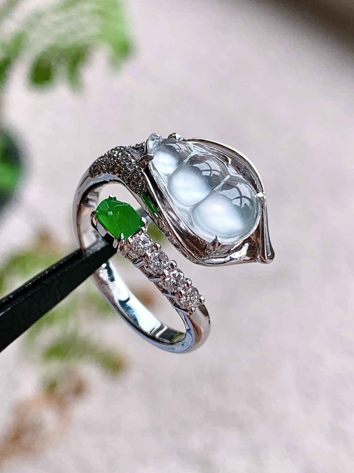 【镶嵌】🫧玻璃种豆子福豆戒指
【说明】缅料 18k金镶嵌 性价比高  
【裸石】12.5-7.8-2