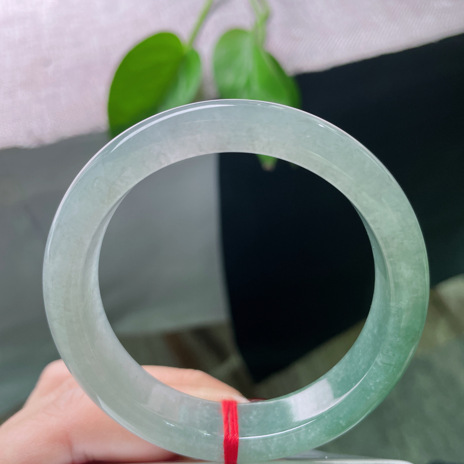 54.5/12.8/8.1，冰油正圈，水润细腻，冰感好，大气。