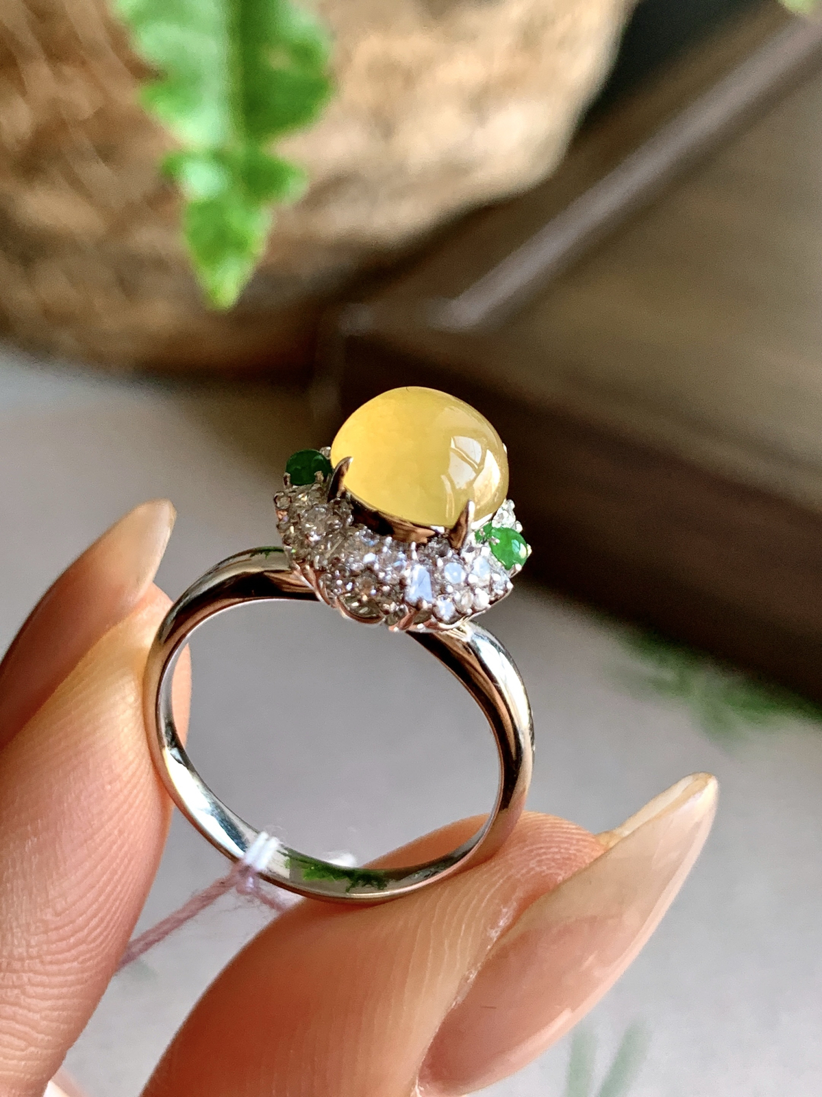 【镶嵌】️高冰黄翡蛋面戒指
【说明】缅料  18k金镶嵌 性价比高  
【整体】12-11.5-11.3
【圈口】14号..