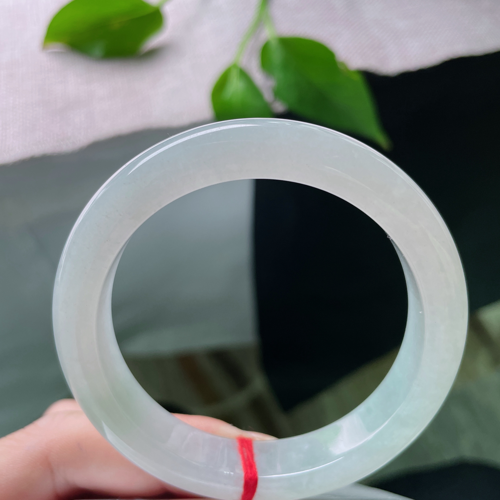 54.5/12/8.4。淡绿底正圈，巧笑嫣然，清润温柔，越看越舒心..