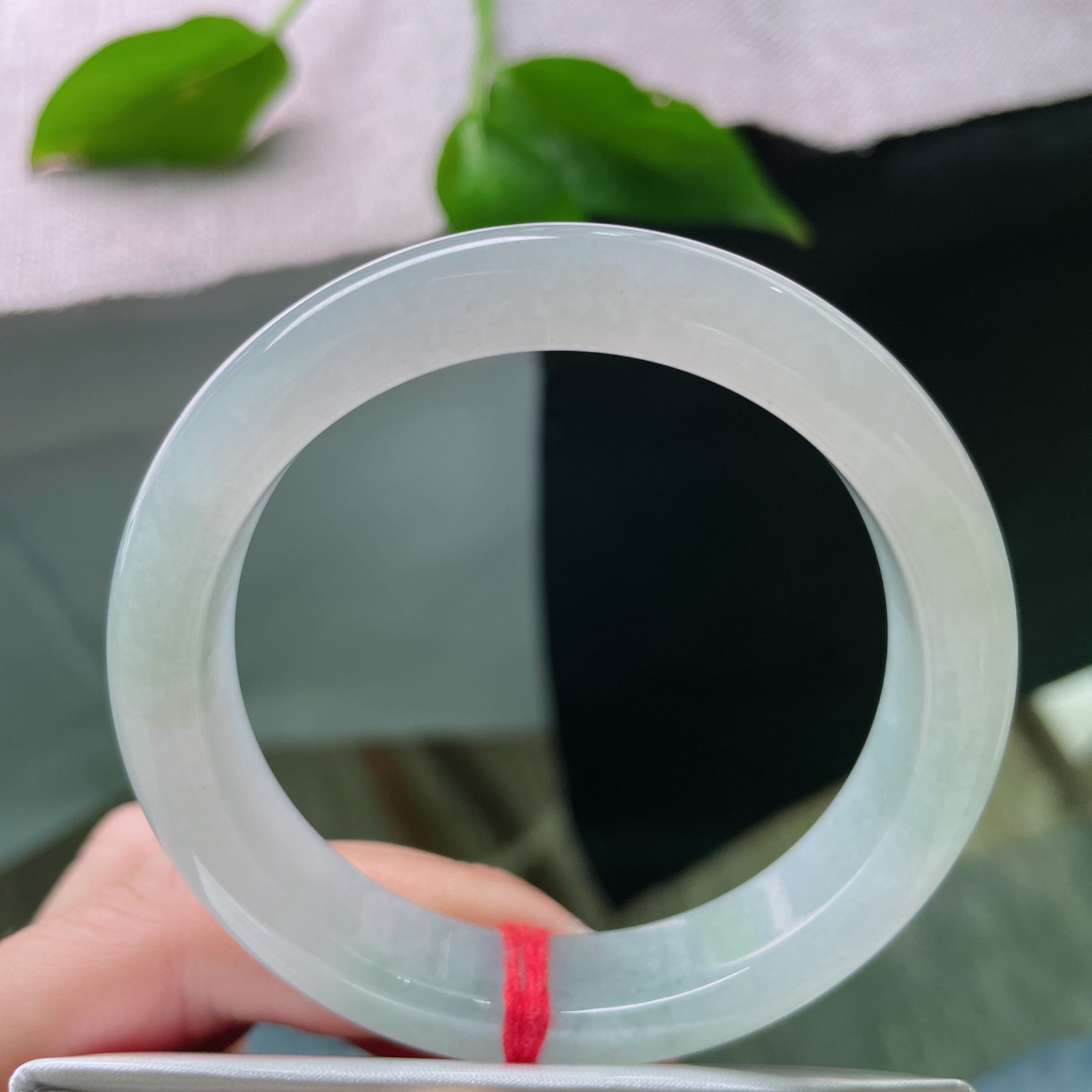 54.9/12.1/8.1，淡绿底正圈，芙蓉肉，小清新，素雅清秀，端庄淑女..