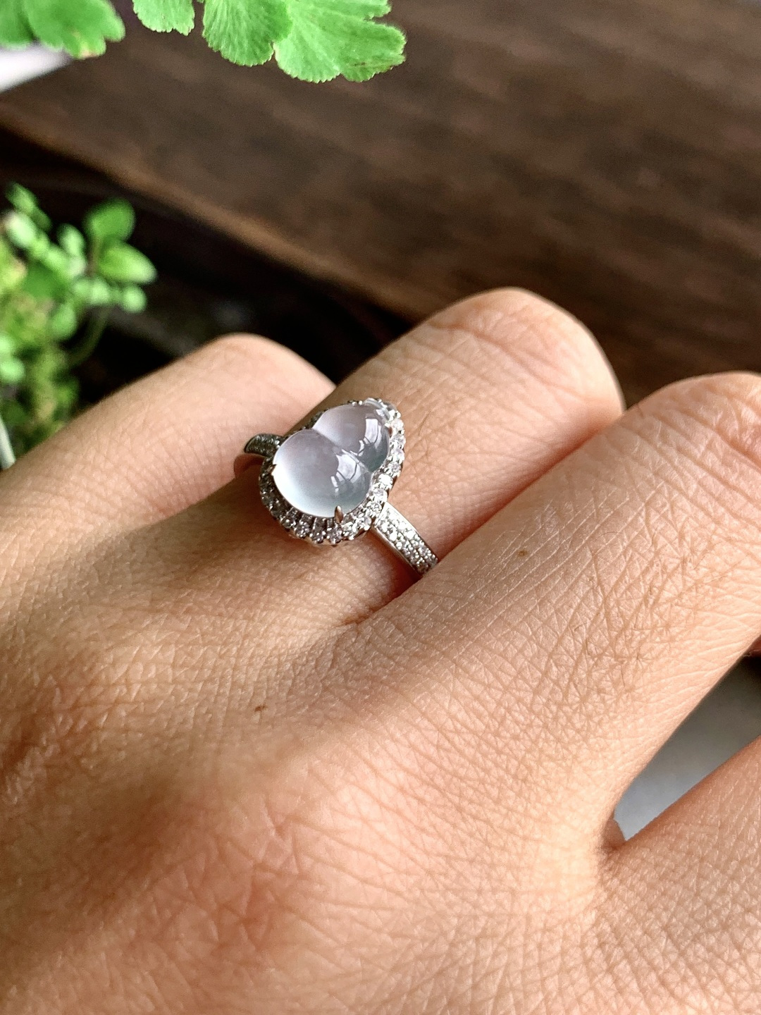 【镶嵌】️高冰葫芦戒指【说明】缅料  18k金镶嵌 性比高【整体】11.4-8.5-8【裸石】9-