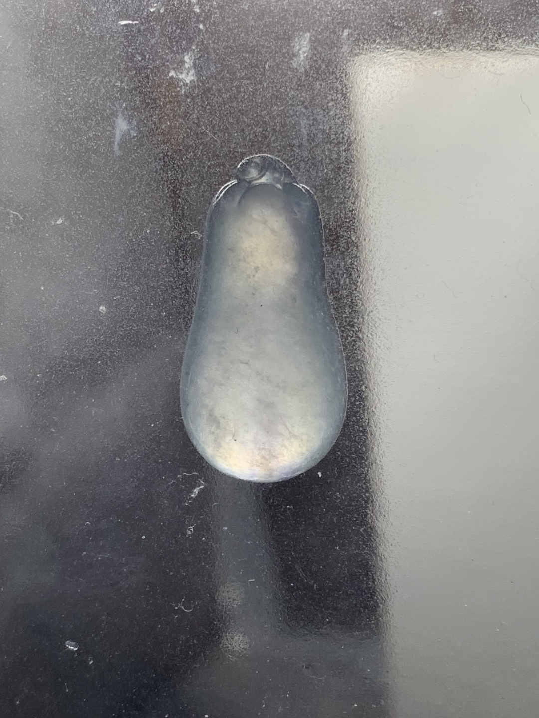 冰紫福瓜 水润种老 0413 尺寸23.9*12.2*6.1