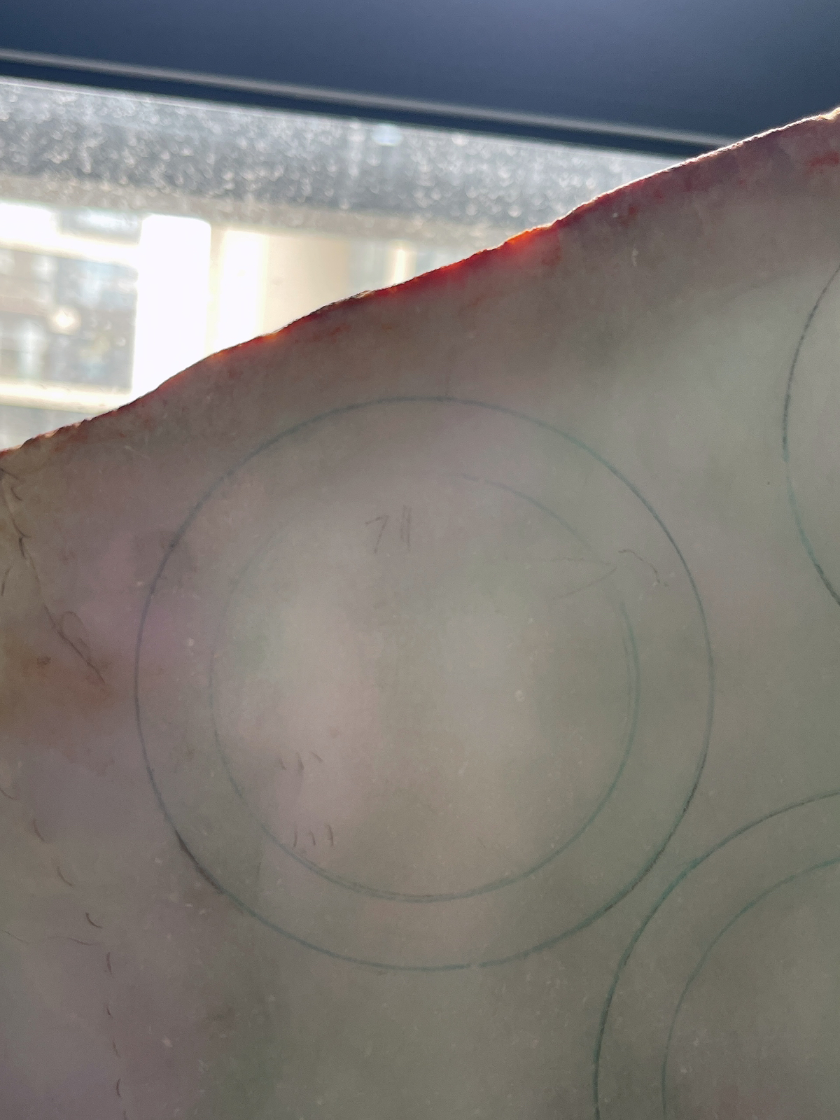 翡翠板料，⭕️正圈最大做61，圆条最大做57