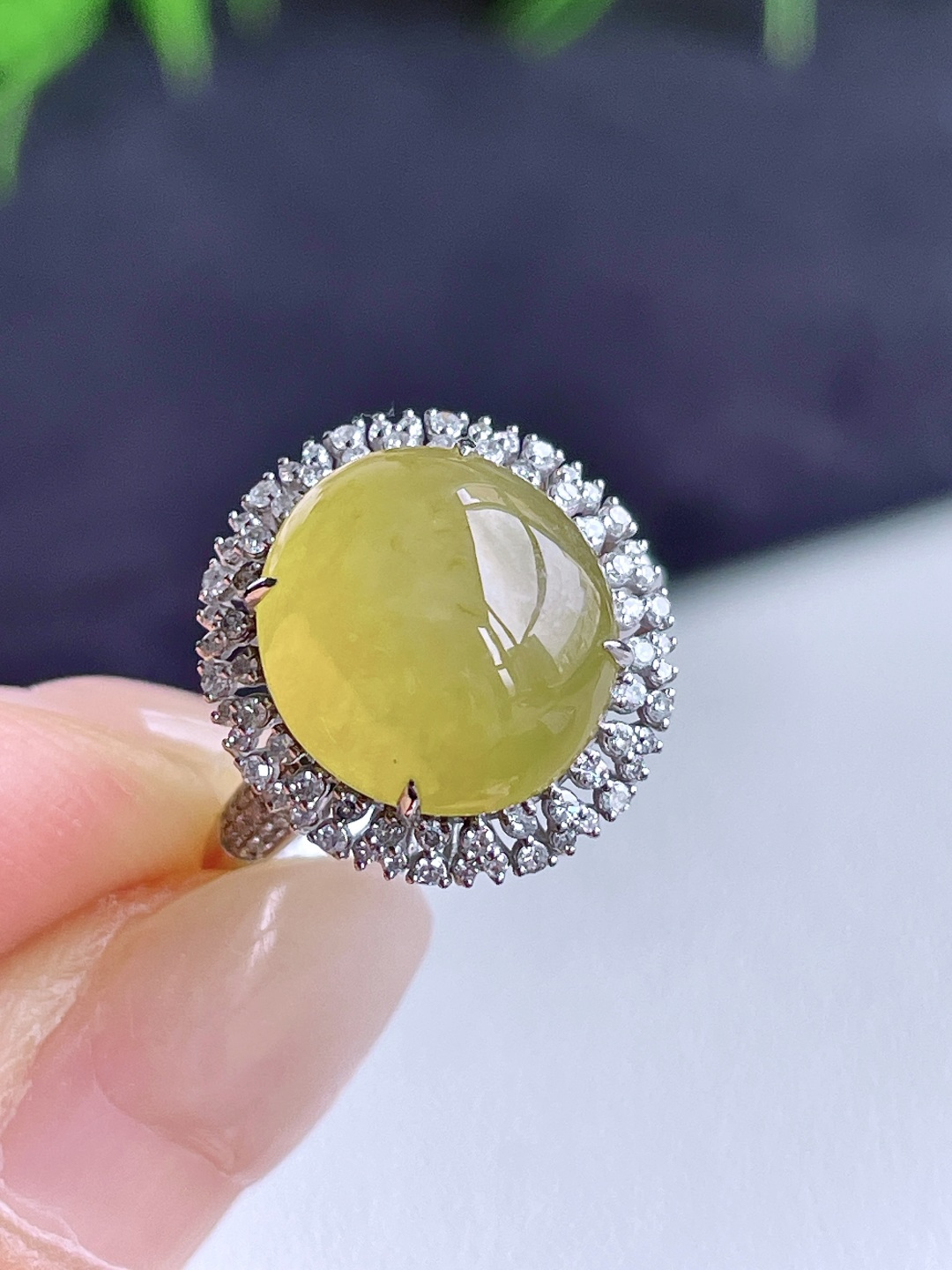 【镶嵌】冰黄翡蛋面戒指 【说明】缅料 18k金镶嵌 无裂 性比高 【整体】15.6-14.7-10.8 【裸石】11.6-10.7-7.5 【圈口】14号 【重量】3.8克