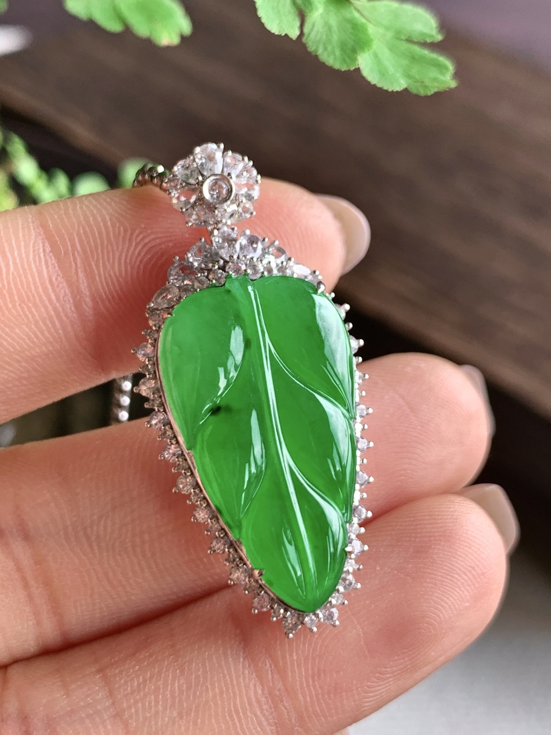 【镶嵌】️冰阳绿树叶满绿叶子吊坠 【说明】缅料 18k金镶嵌 无裂 性比高 【整体】38.6-18.5-10 【裸石】25.4-14.5-3.2 【重量】7克